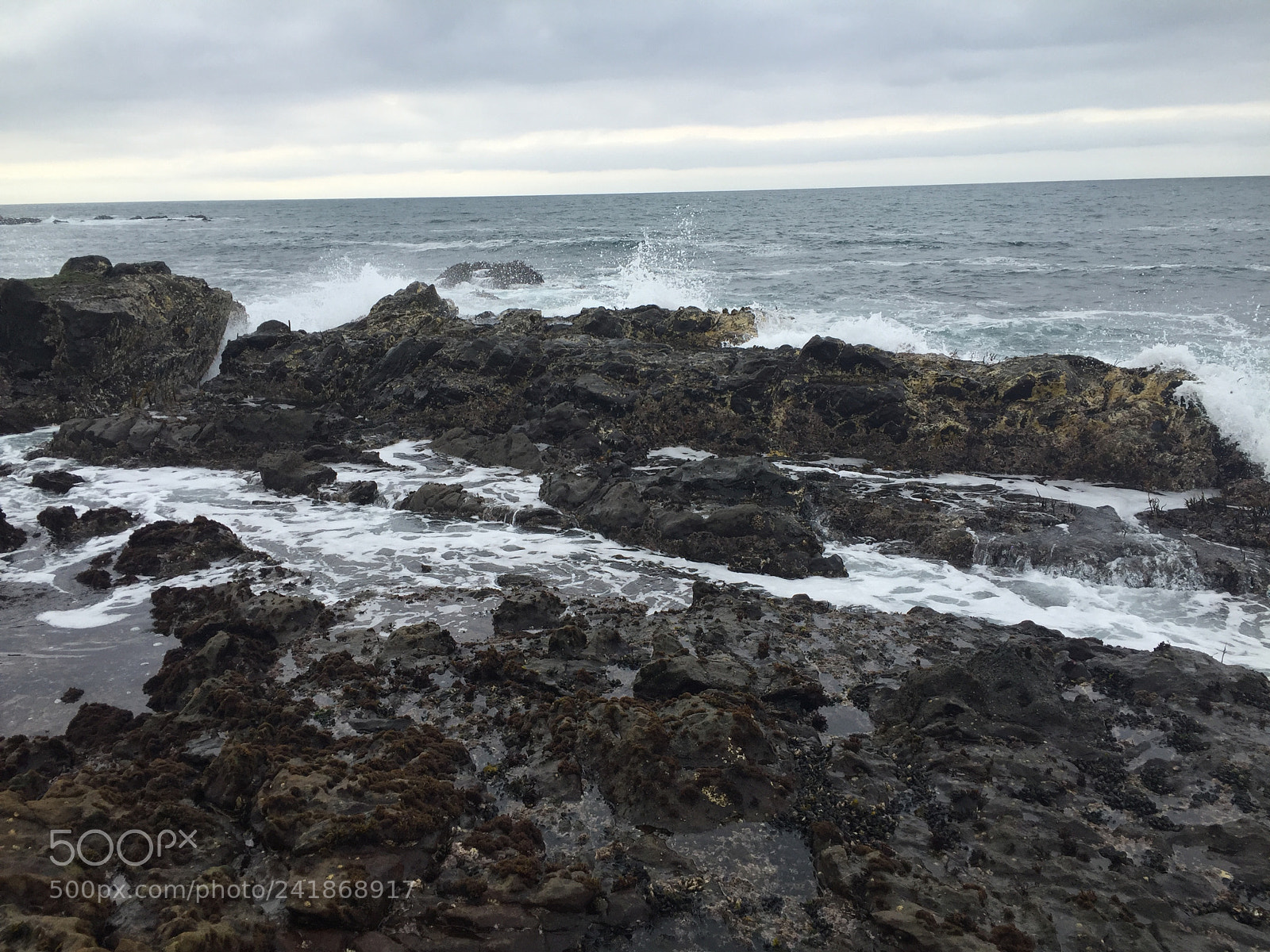 Apple iPhone 6 sample photo. Image photography