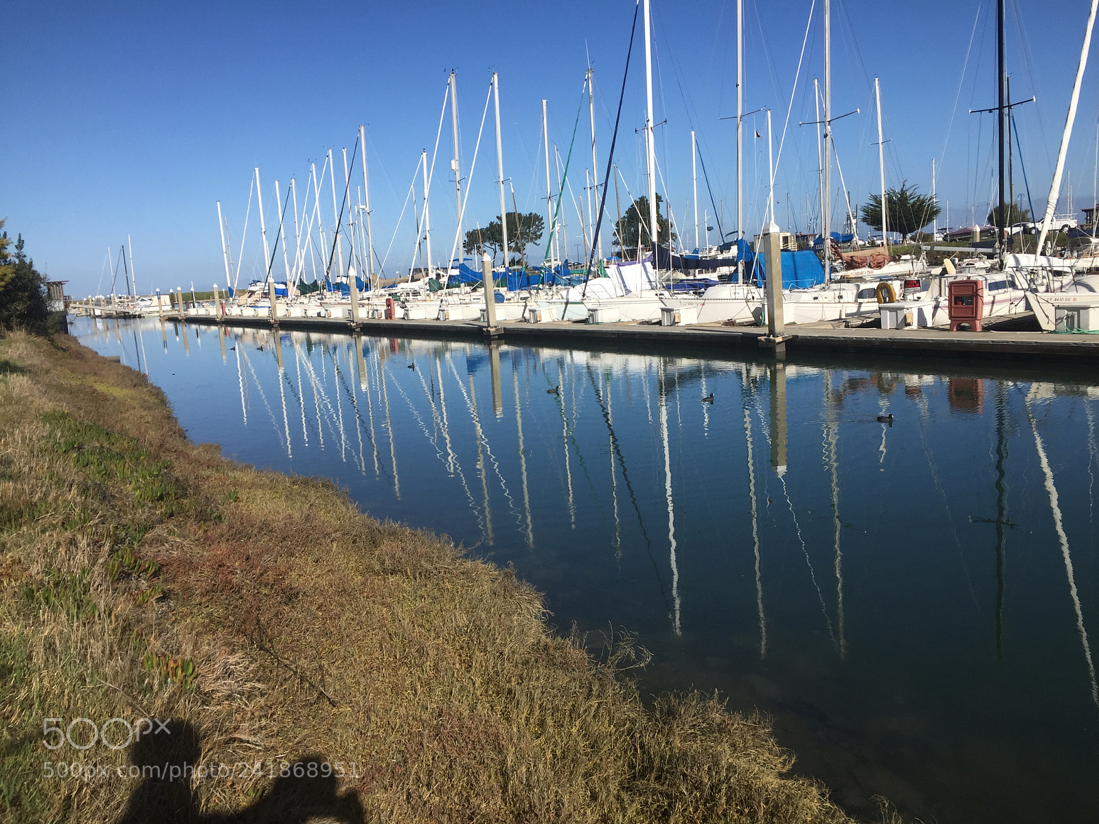 Apple iPhone 6 sample photo. Image photography