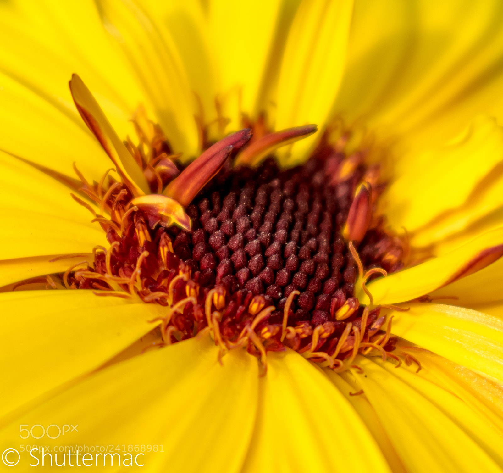 Nikon D3400 sample photo. The definition of beauty photography