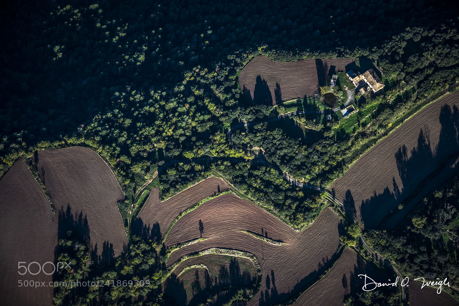 Nikon D810 sample photo. Catalonia farmland photography