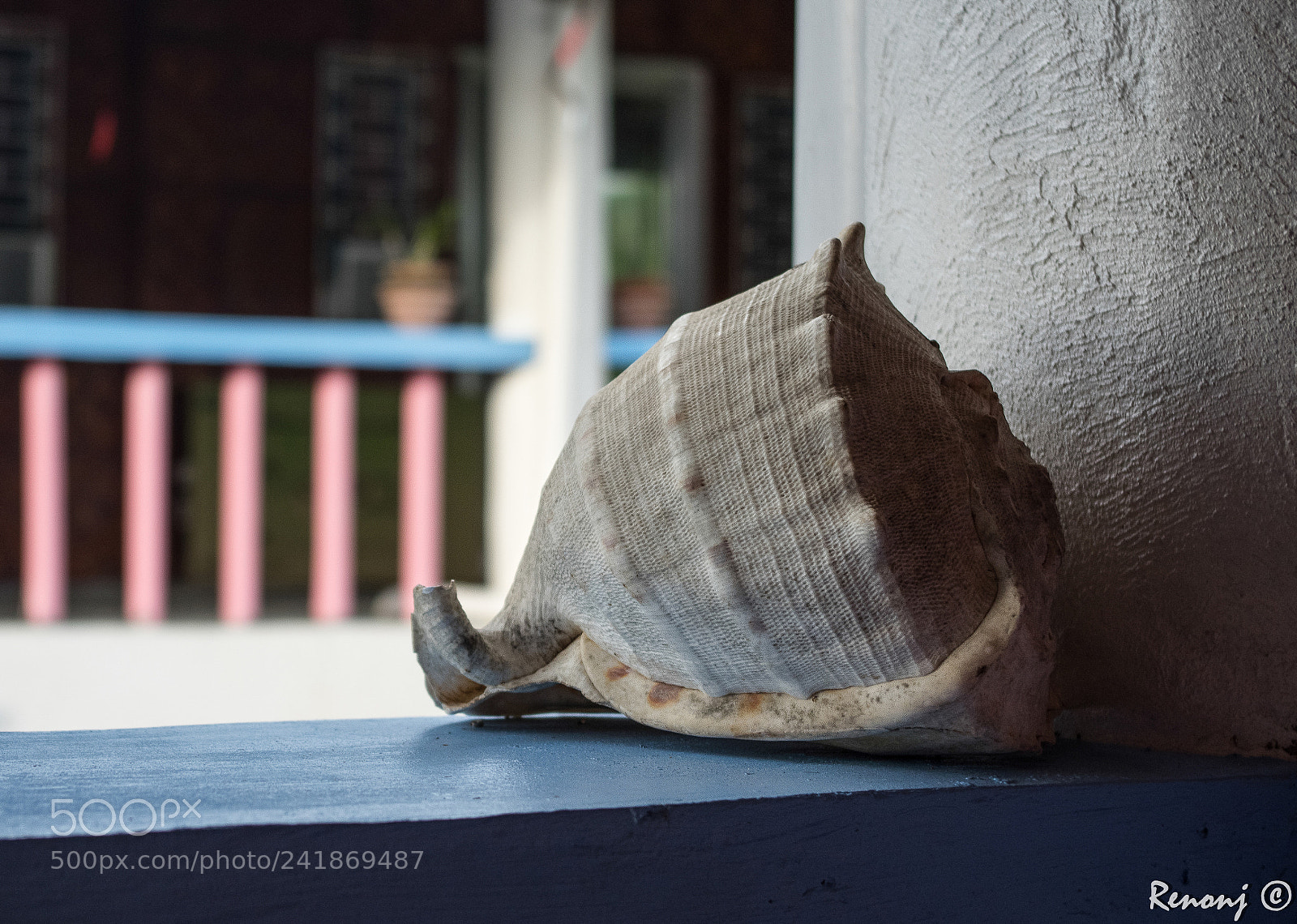 Pentax K-3 sample photo. Waiting by the window photography