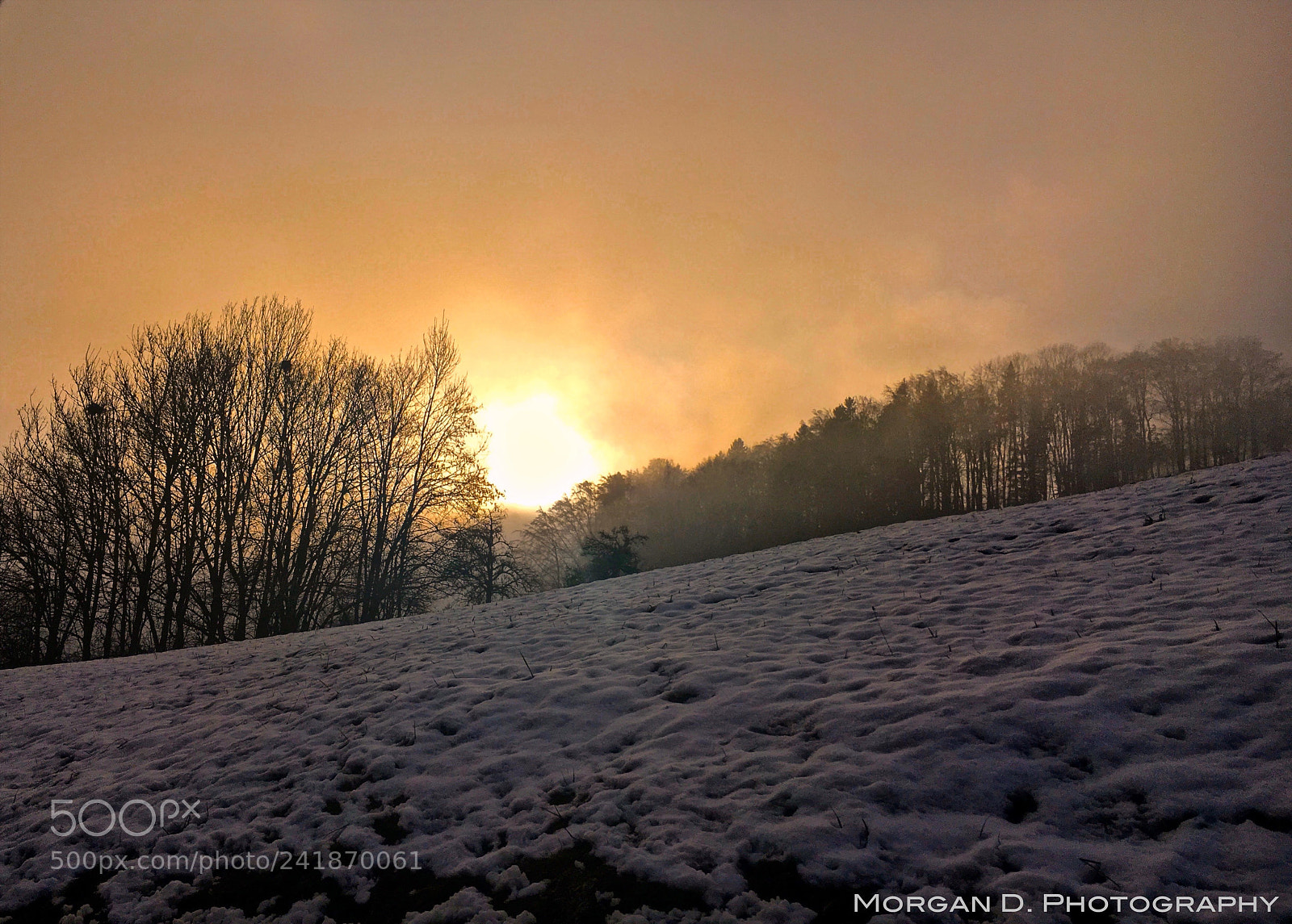 Apple iPhone 6s sample photo. Misty winter wonderland photography