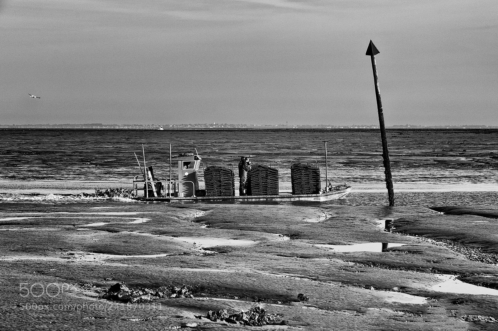 Nikon D300S sample photo. Les huitres arrivent !!! photography
