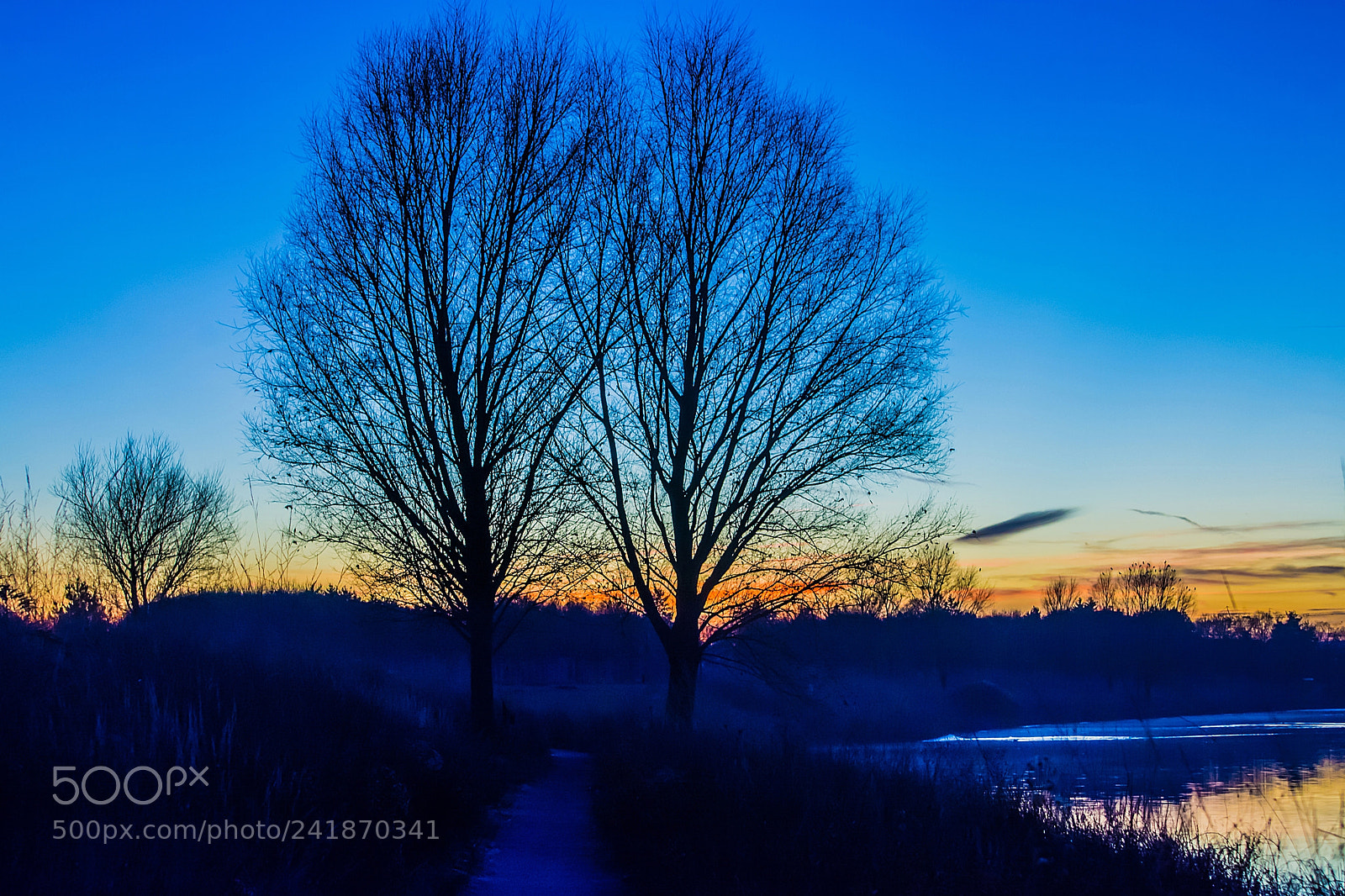 Nikon D7100 sample photo. My very blue evening... photography