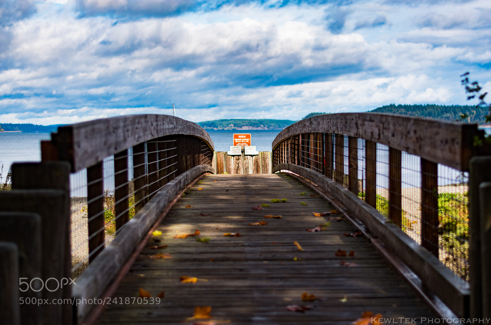 Nikon D5600 sample photo. Footbridge photography