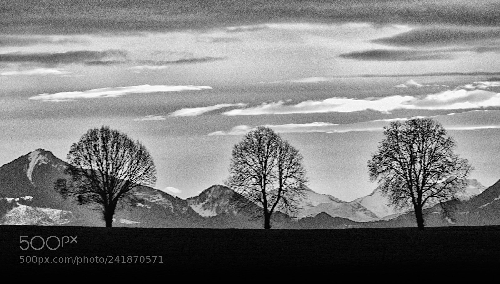 Panasonic Lumix DMC-FZ1000 sample photo. Three trees and mountains photography