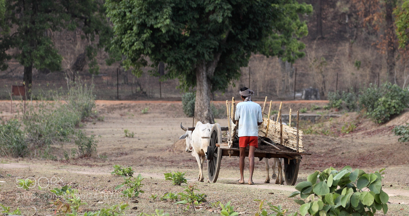 Canon EOS 50D sample photo. Indian farmer with his photography