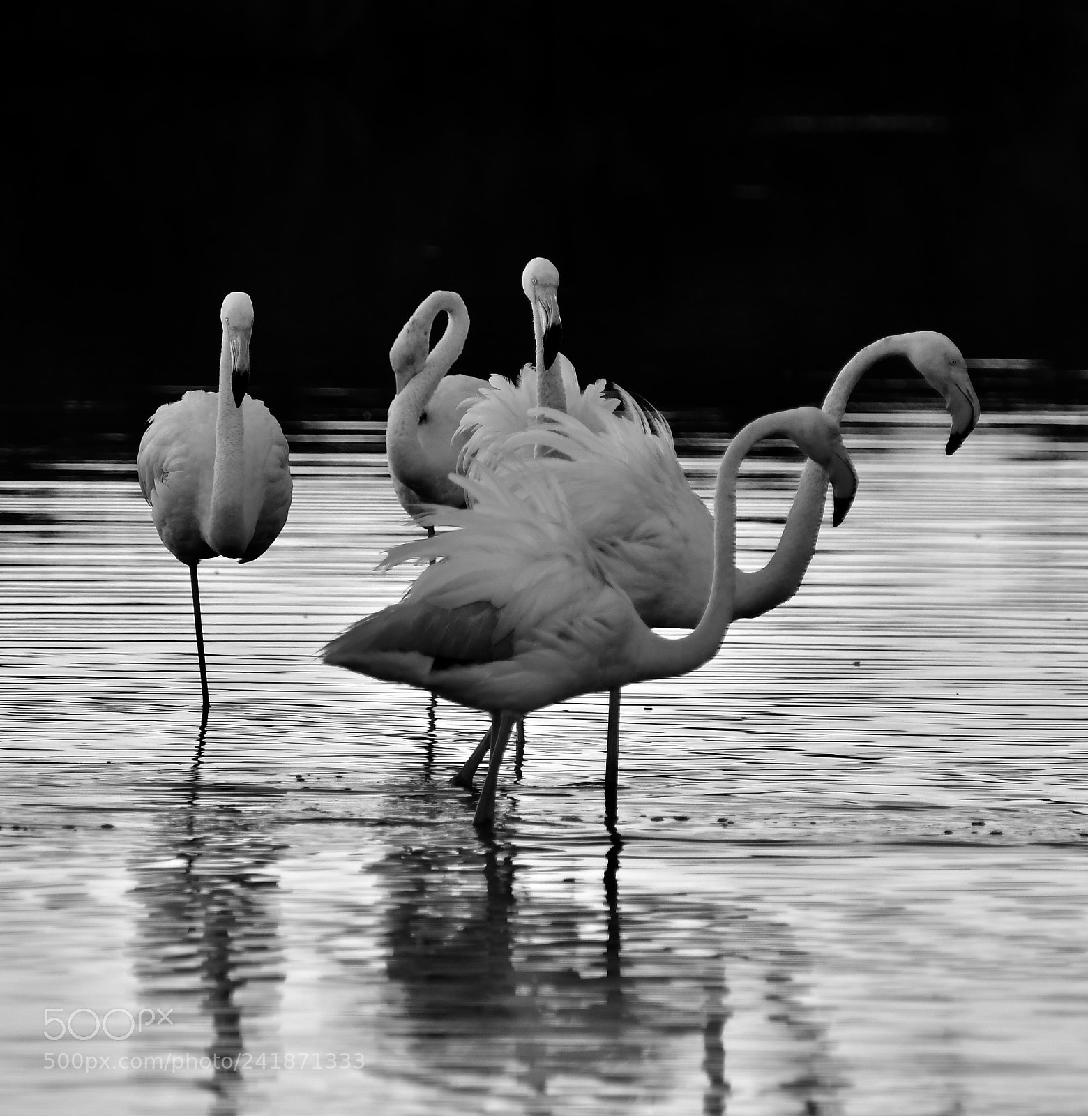 Nikon D500 sample photo. Untitled photography