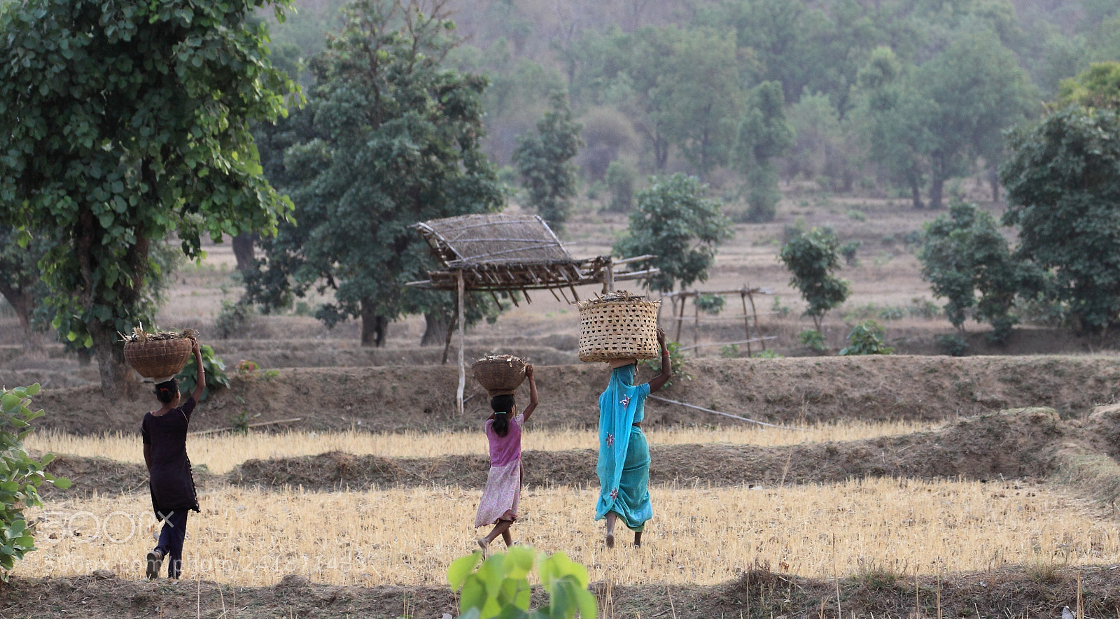 Canon EOS 50D sample photo. Women at work in photography