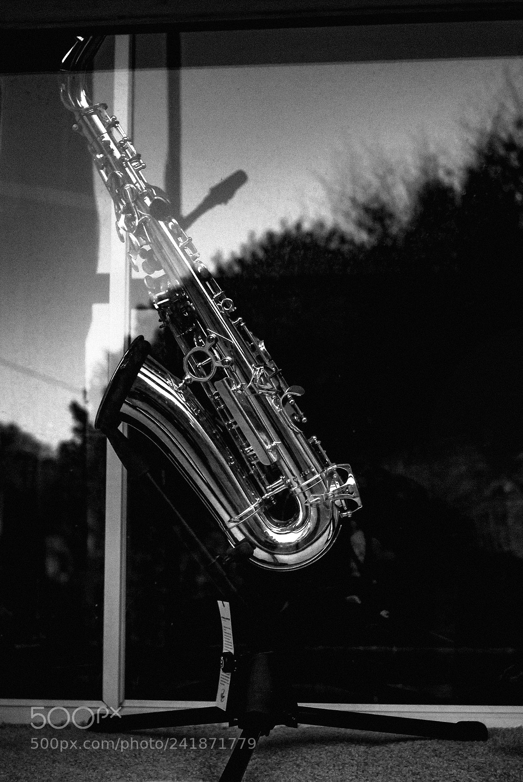 Leica M (Typ 240) sample photo. Birdland photography