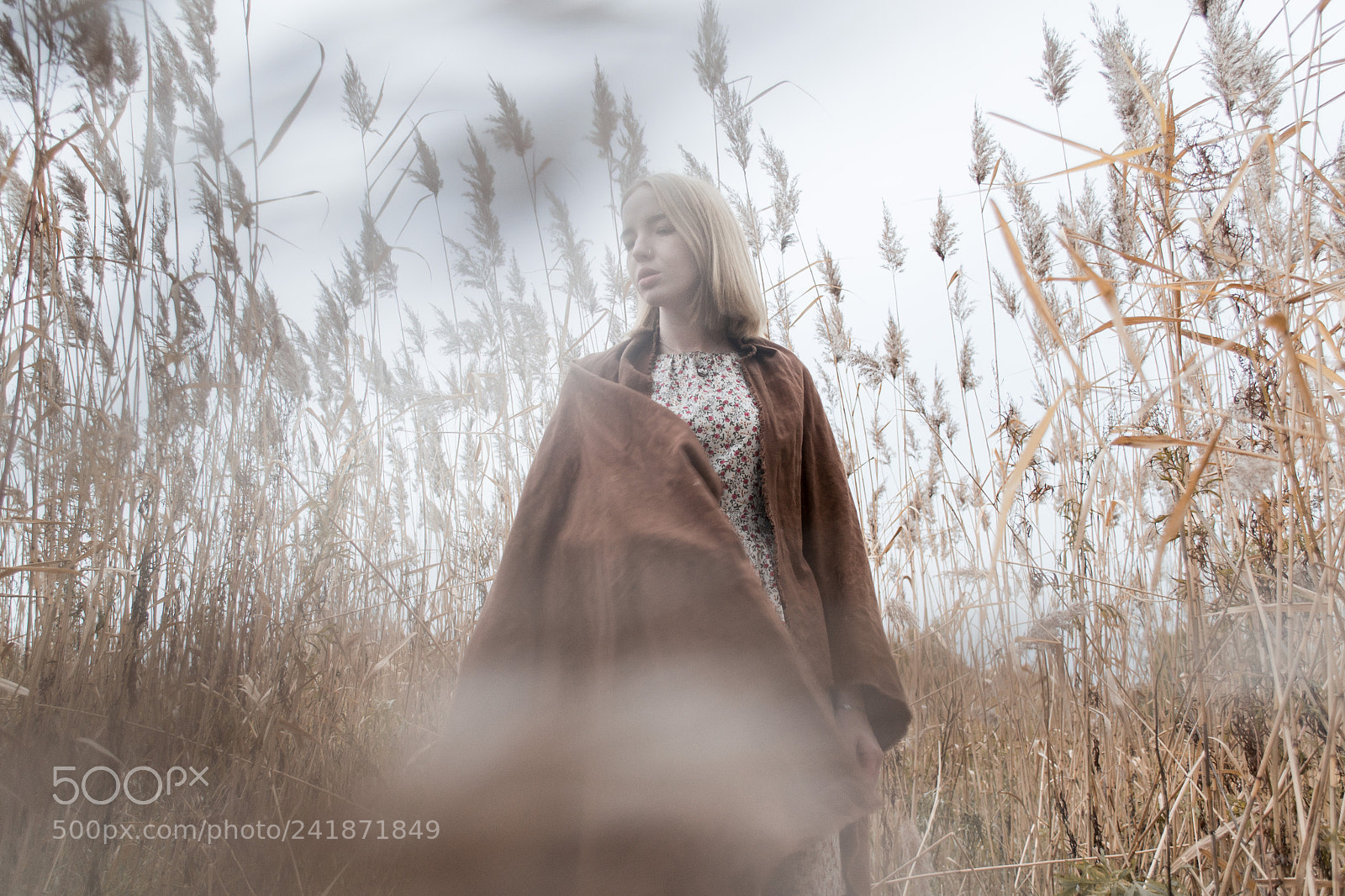 Nikon D3100 sample photo. Autumn sadness photography