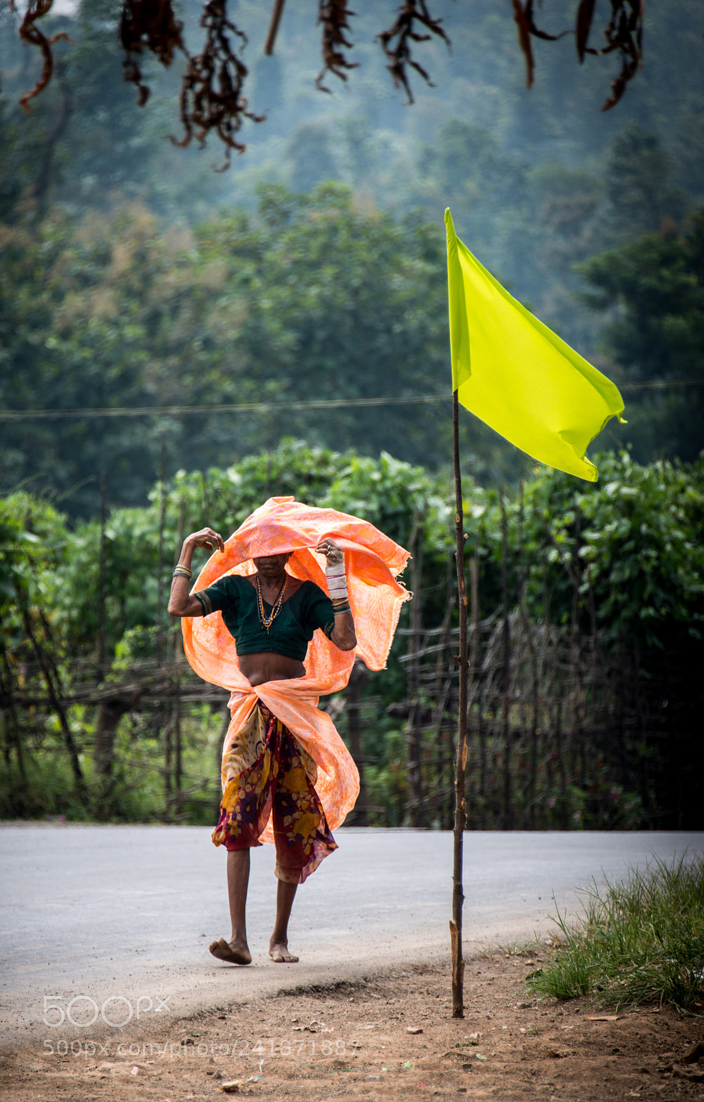 Nikon D800 sample photo. Colourful breeze photography