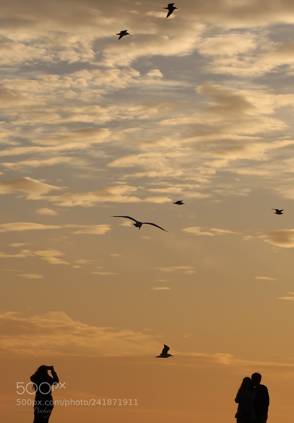 Canon EOS 700D (EOS Rebel T5i / EOS Kiss X7i) sample photo. Moments photography