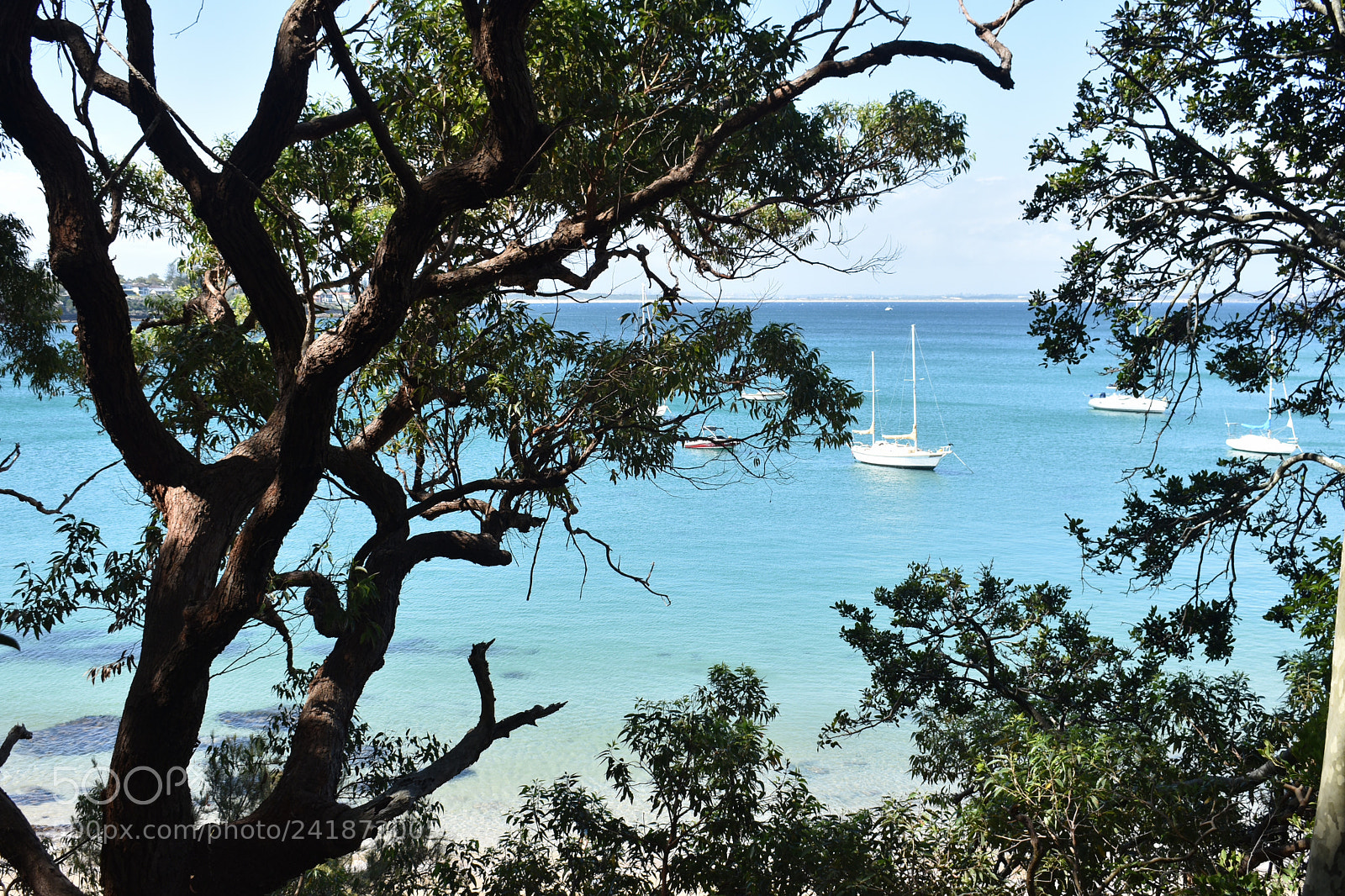Nikon D3400 sample photo. Obscured paradise photography