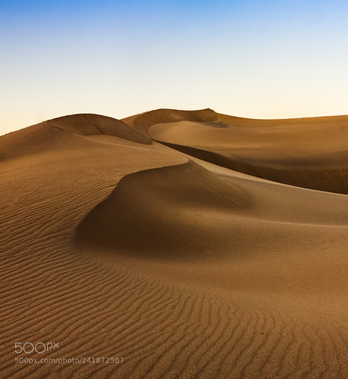 Canon EOS 1100D (EOS Rebel T3 / EOS Kiss X50) sample photo. Dunes mesquite flat sand photography