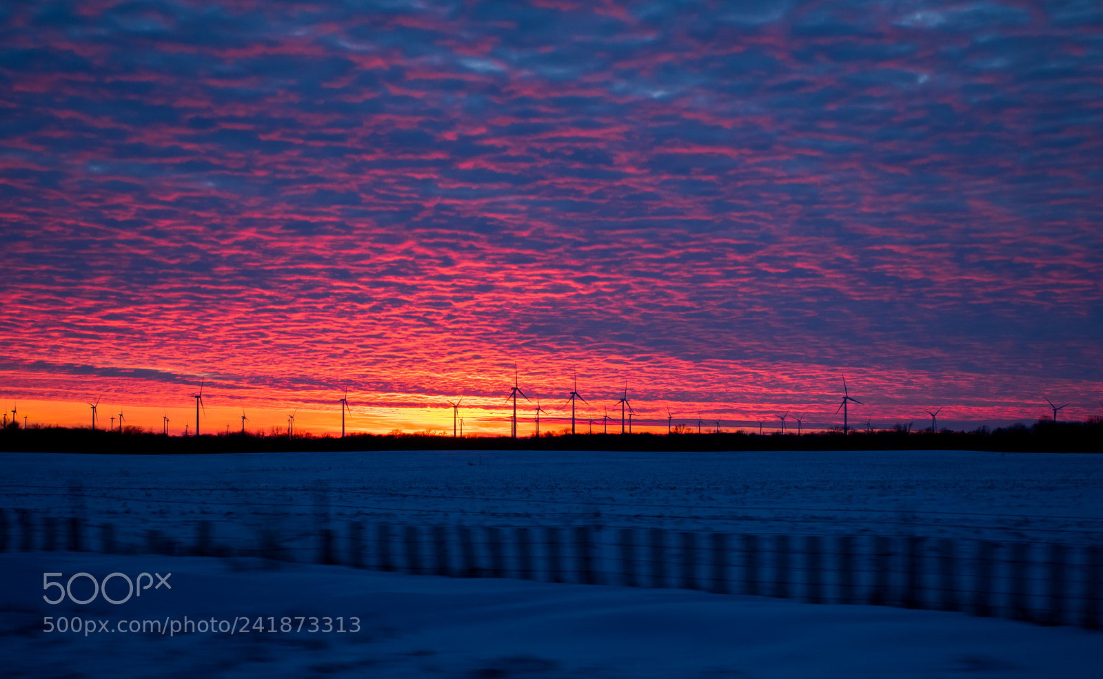 Nikon D5600 sample photo. Sunset 30.12.2017 photography