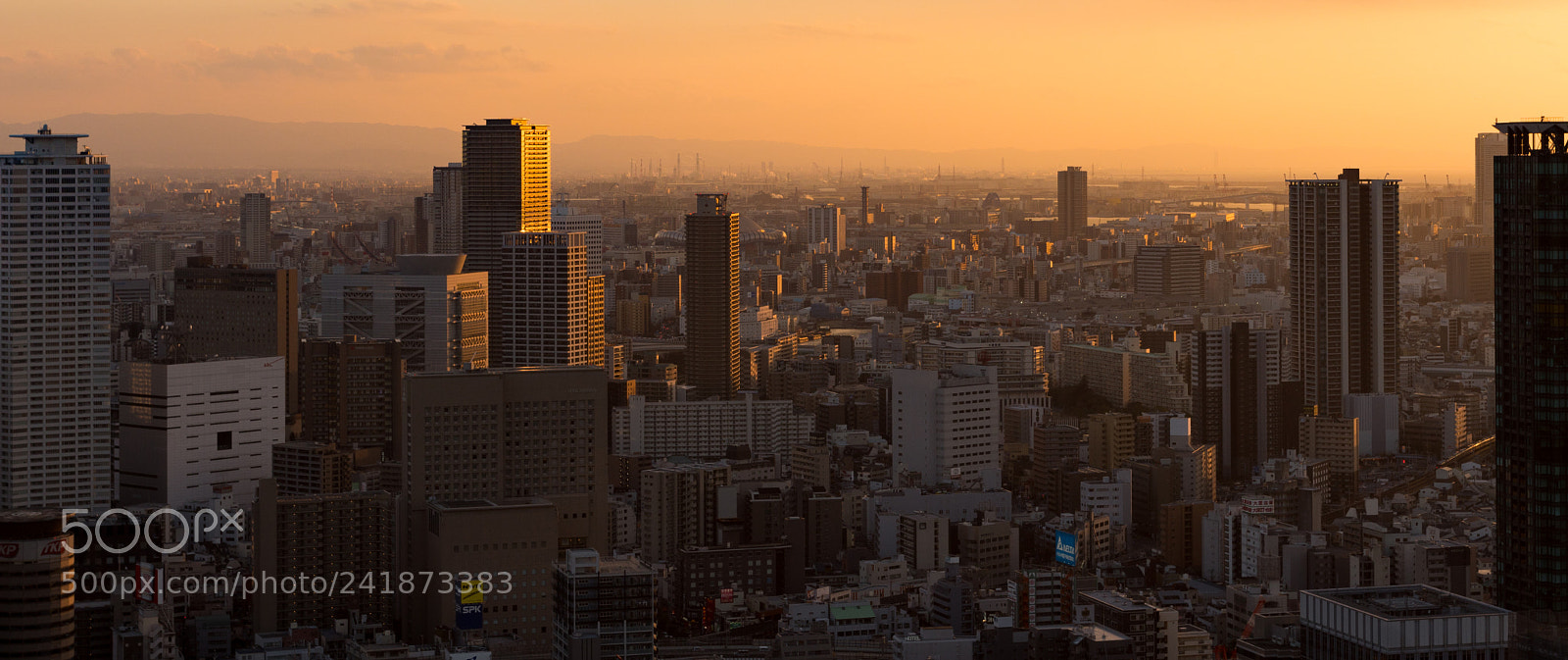Sony a6500 sample photo. 20180102-dsc00344 photography