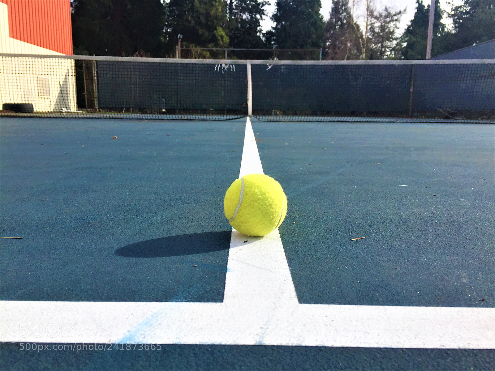 Apple iPhone 6 sample photo. Tennis ball photography