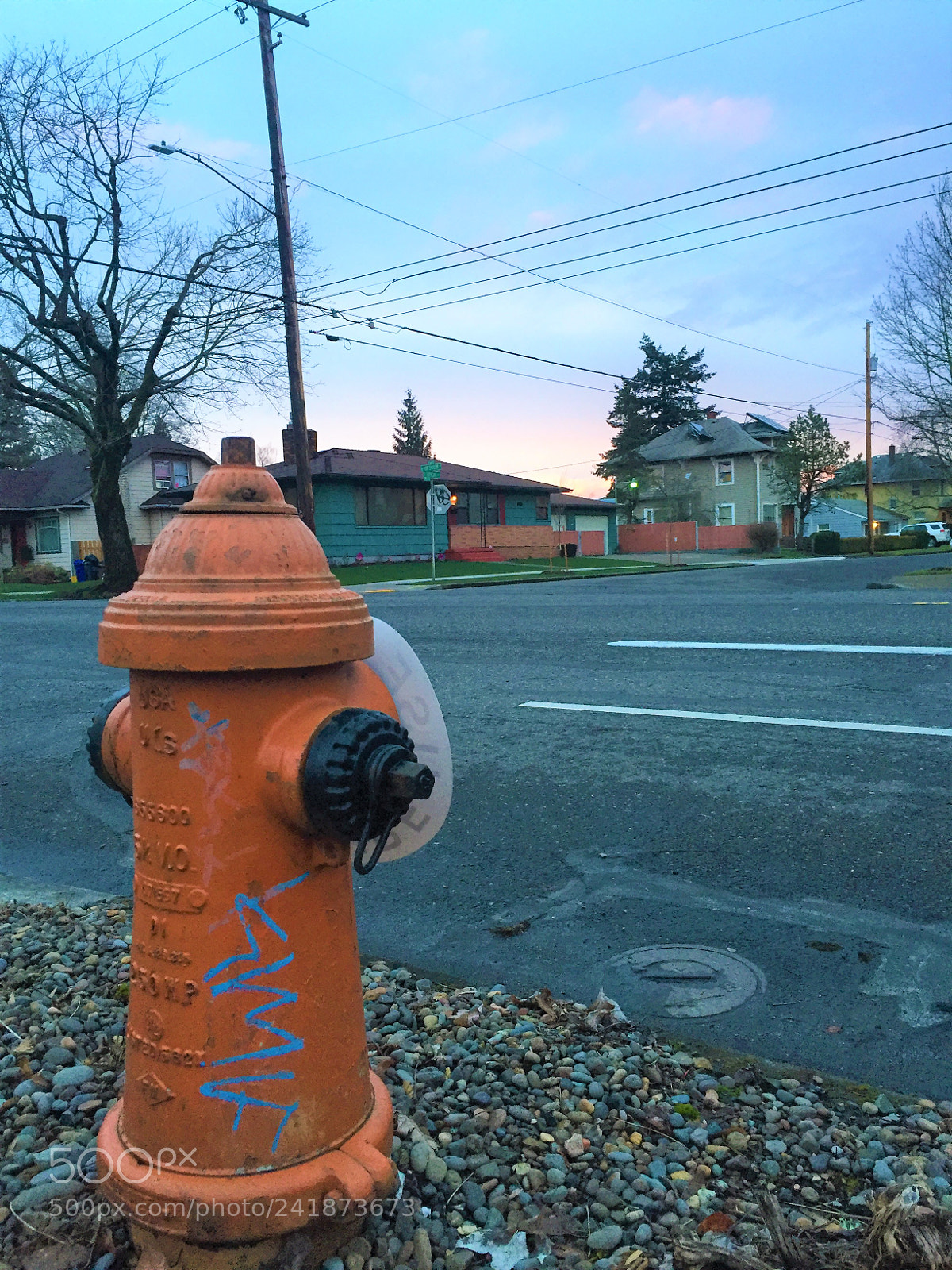 Apple iPhone 6 sample photo. Fire hydrant photography
