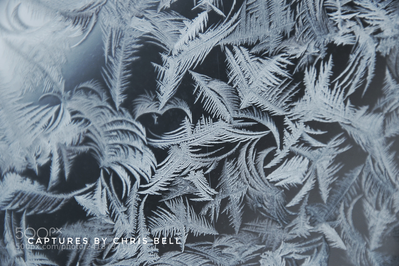 Nikon D5500 sample photo. Ice art photography