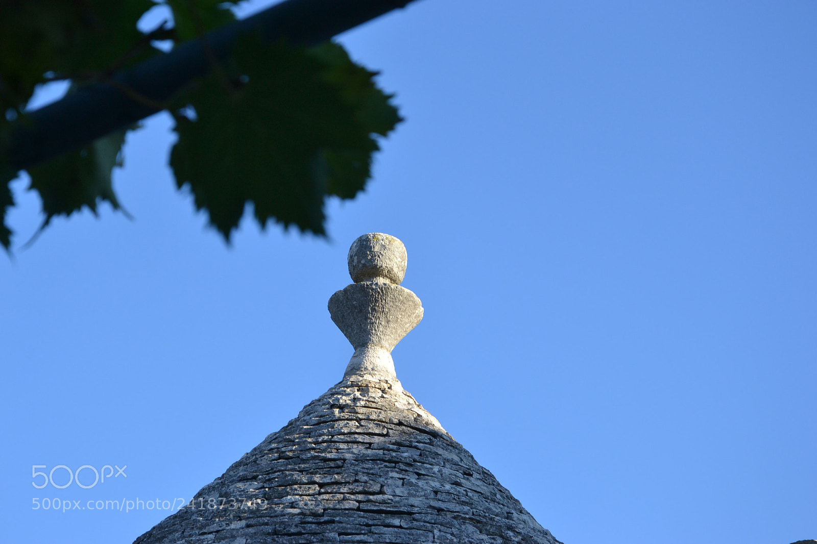 Nikon D3100 sample photo. Untitled photography