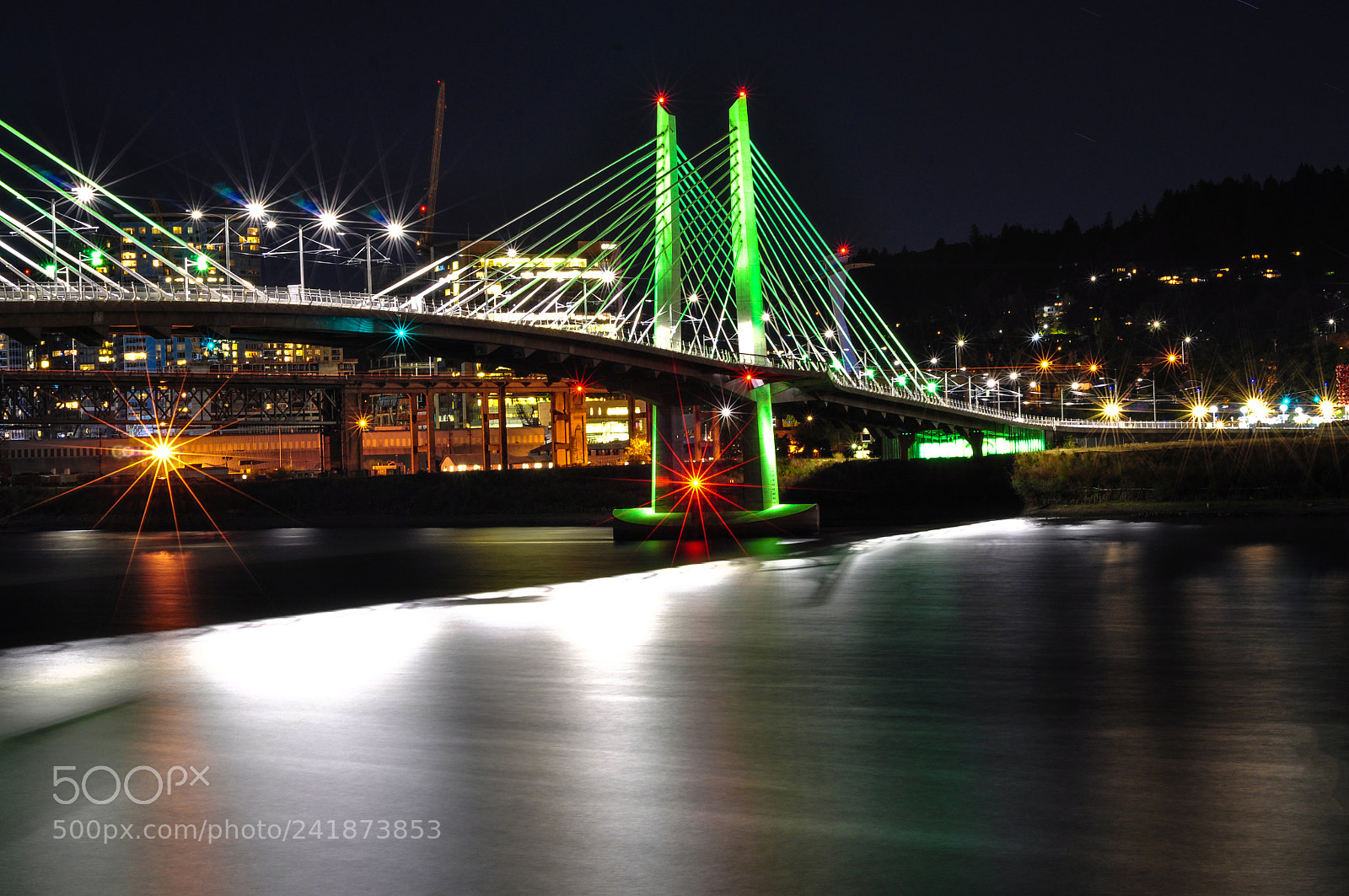 Nikon D5000 sample photo. Bridge over willamette photography