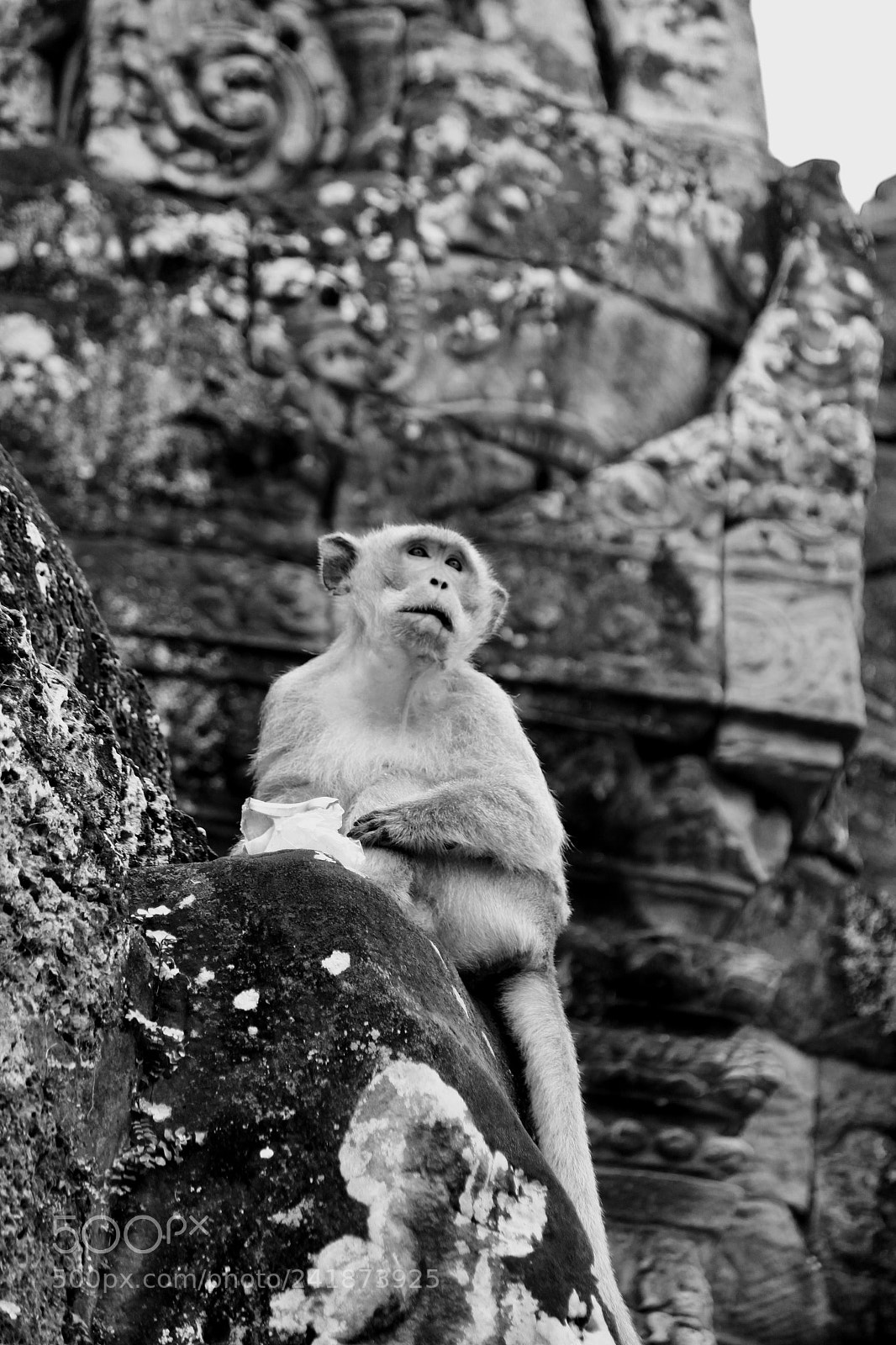 Canon EOS 500D (EOS Rebel T1i / EOS Kiss X3) sample photo. Angkor wat photography