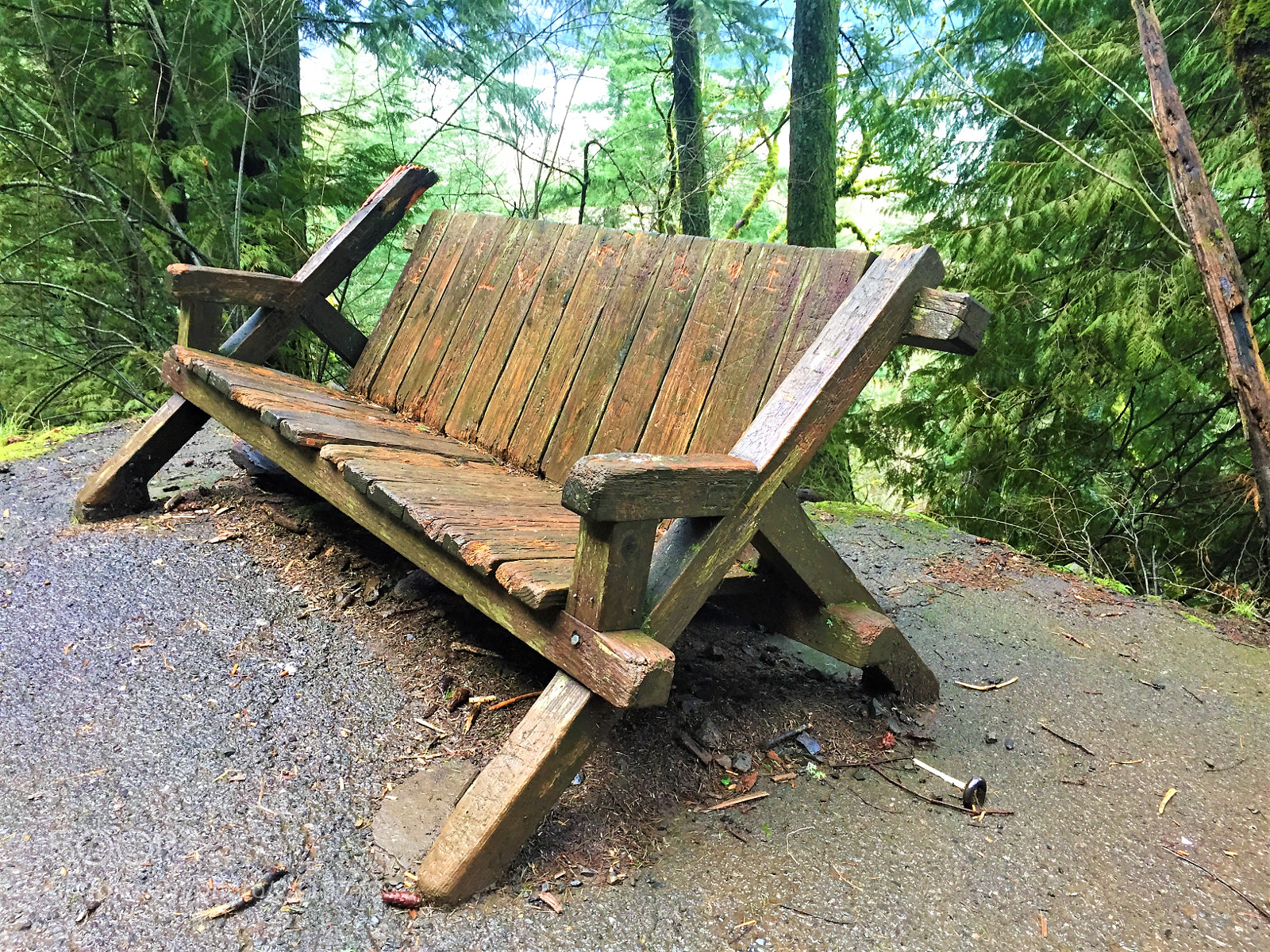 Apple iPhone 6 sample photo. Bench photography