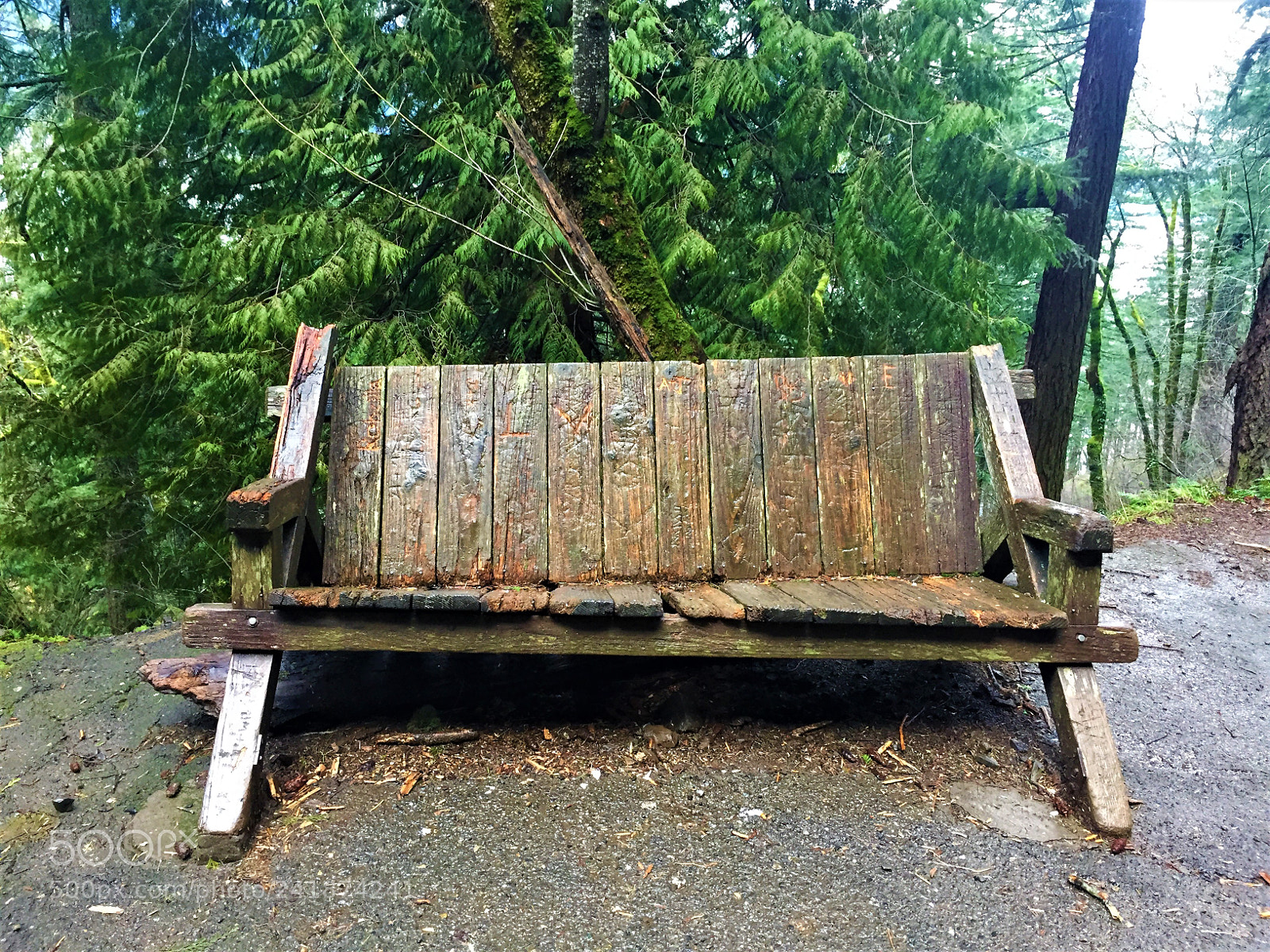 Apple iPhone 6 sample photo. Bench photography