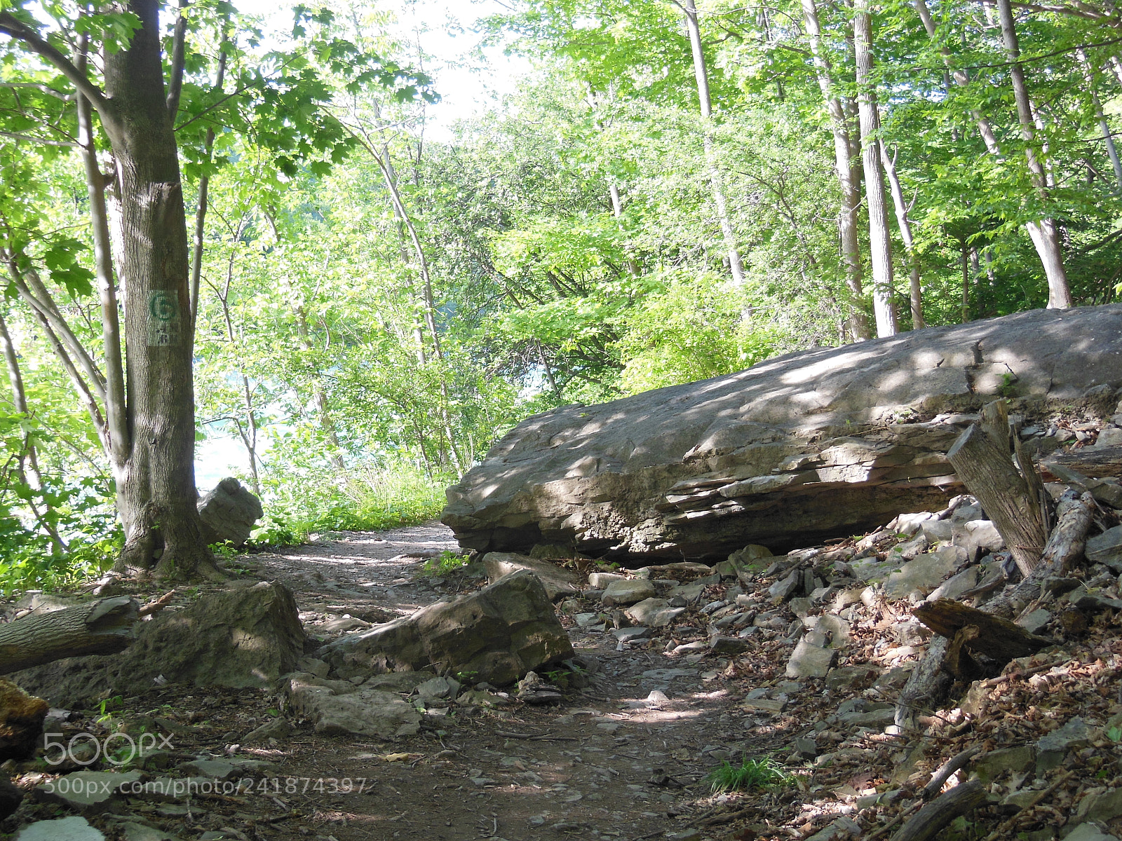 Nikon Coolpix S9300 sample photo. Trailways photography
