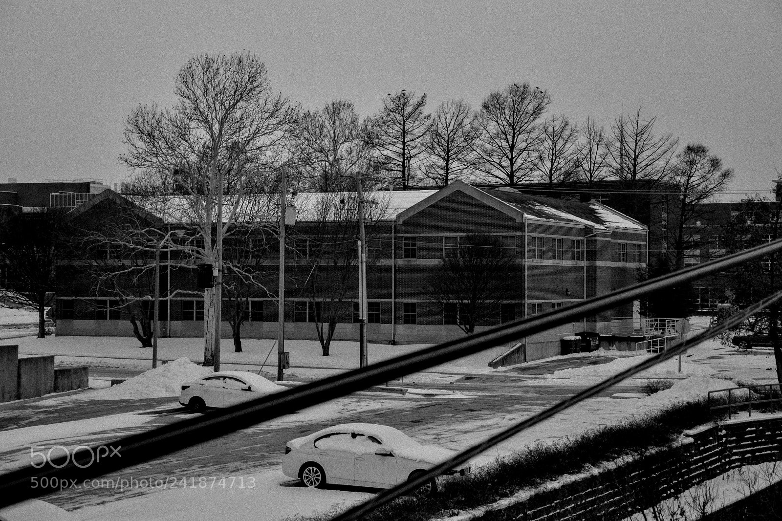 Nikon D5600 sample photo. Snow 06.01.2018 photography