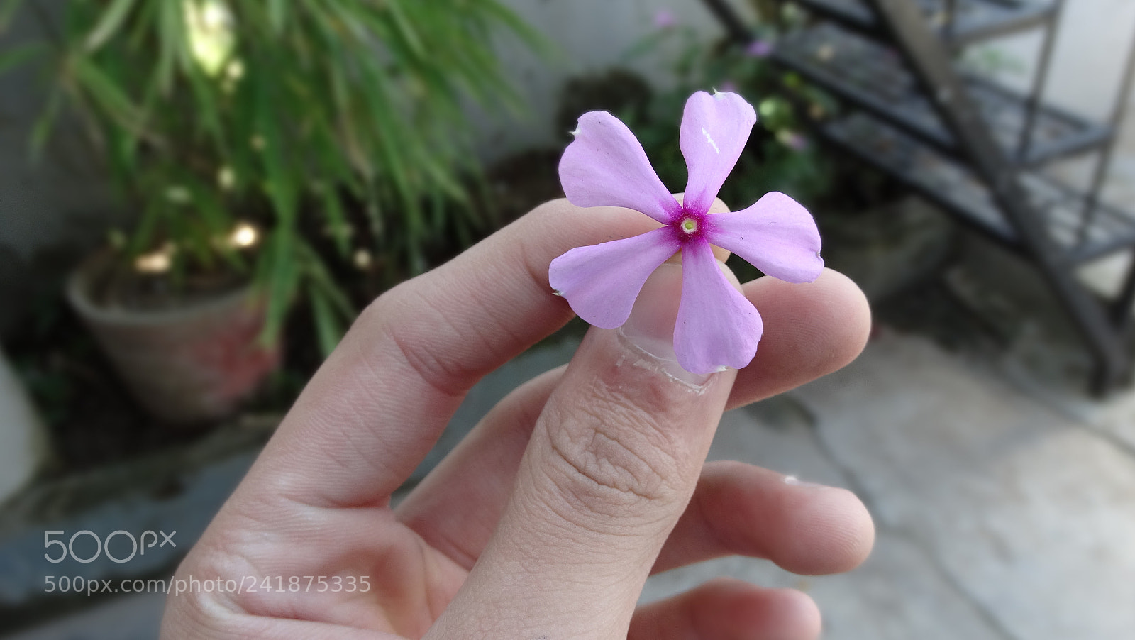 Sony Cyber-shot DSC-HX300 sample photo. Dsc photography
