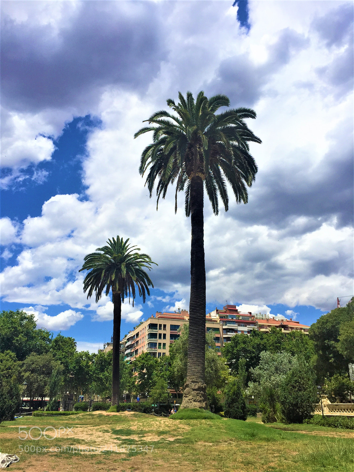 Apple iPhone 6 sample photo. Barcelona photography