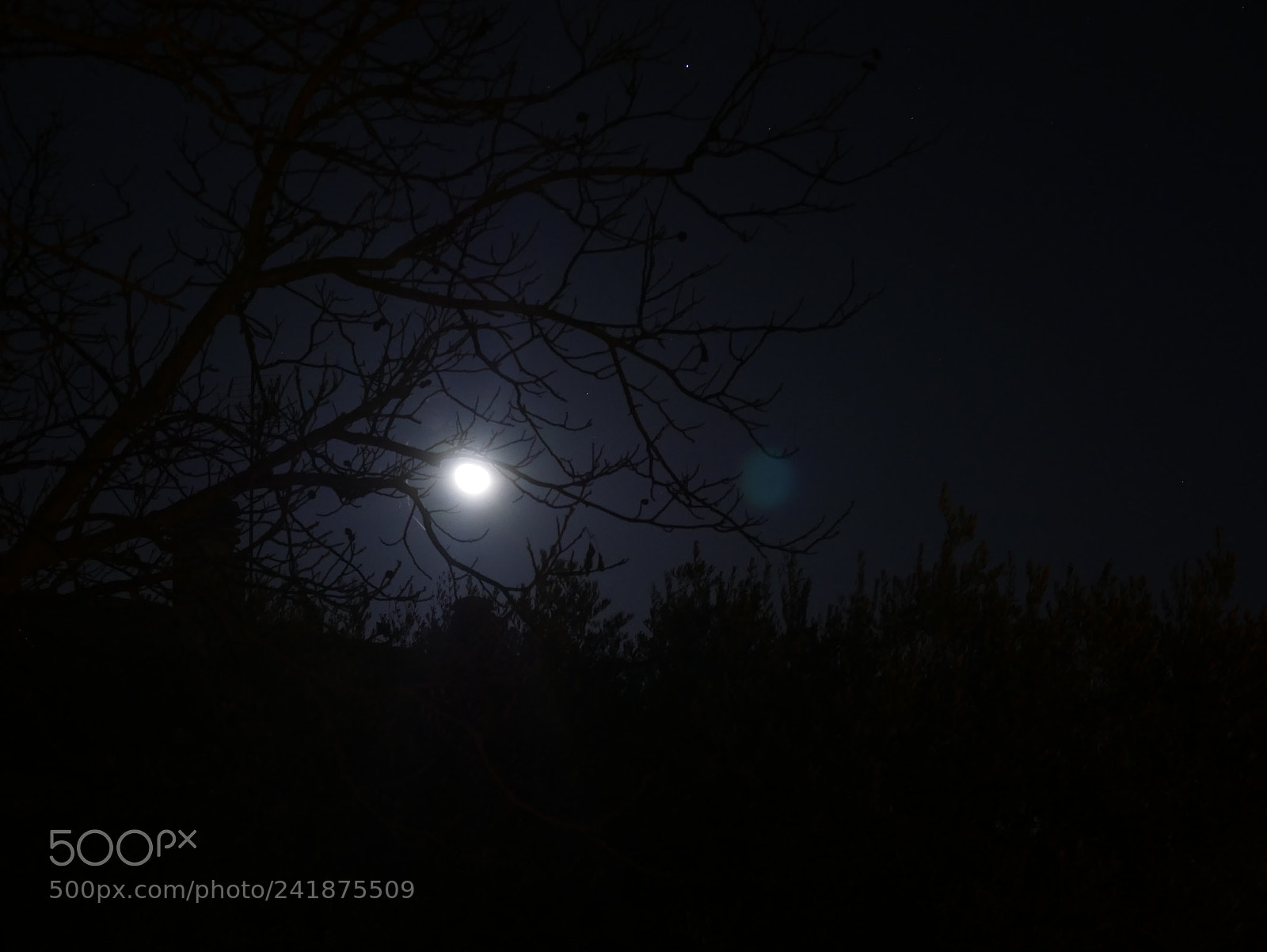 Panasonic Lumix DMC-G7 sample photo. Moon mood photography
