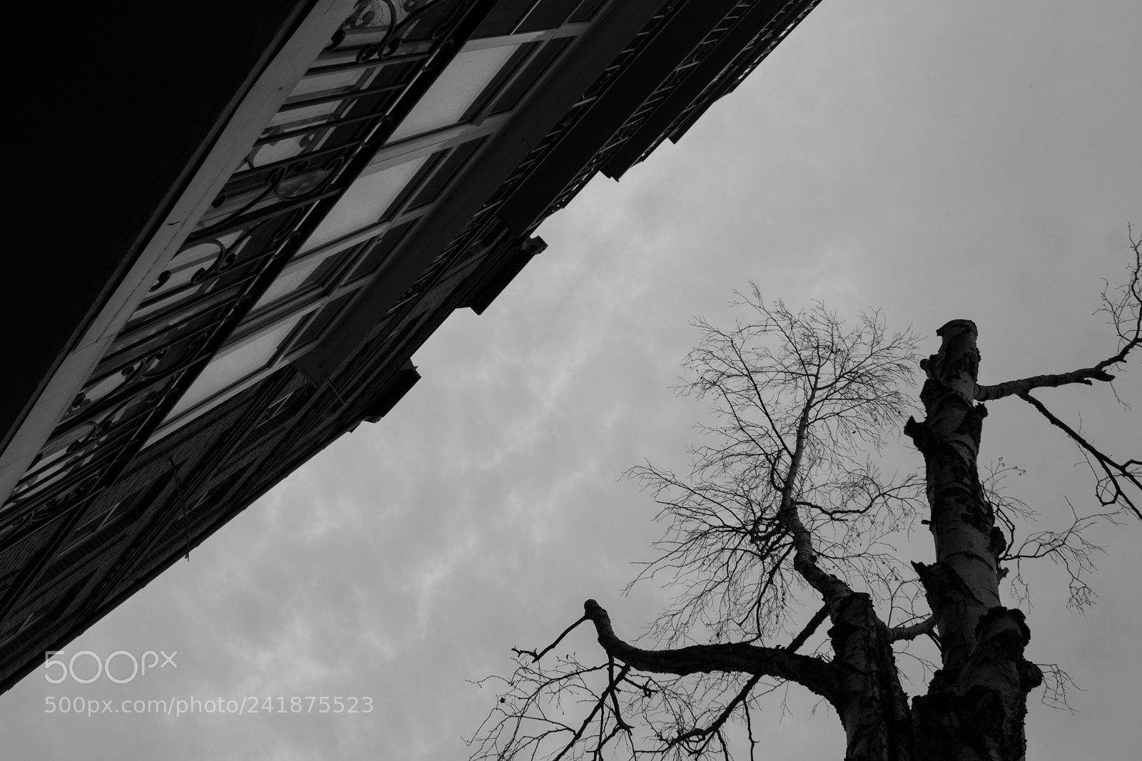 Nikon D3100 sample photo. Khabarovsk photography