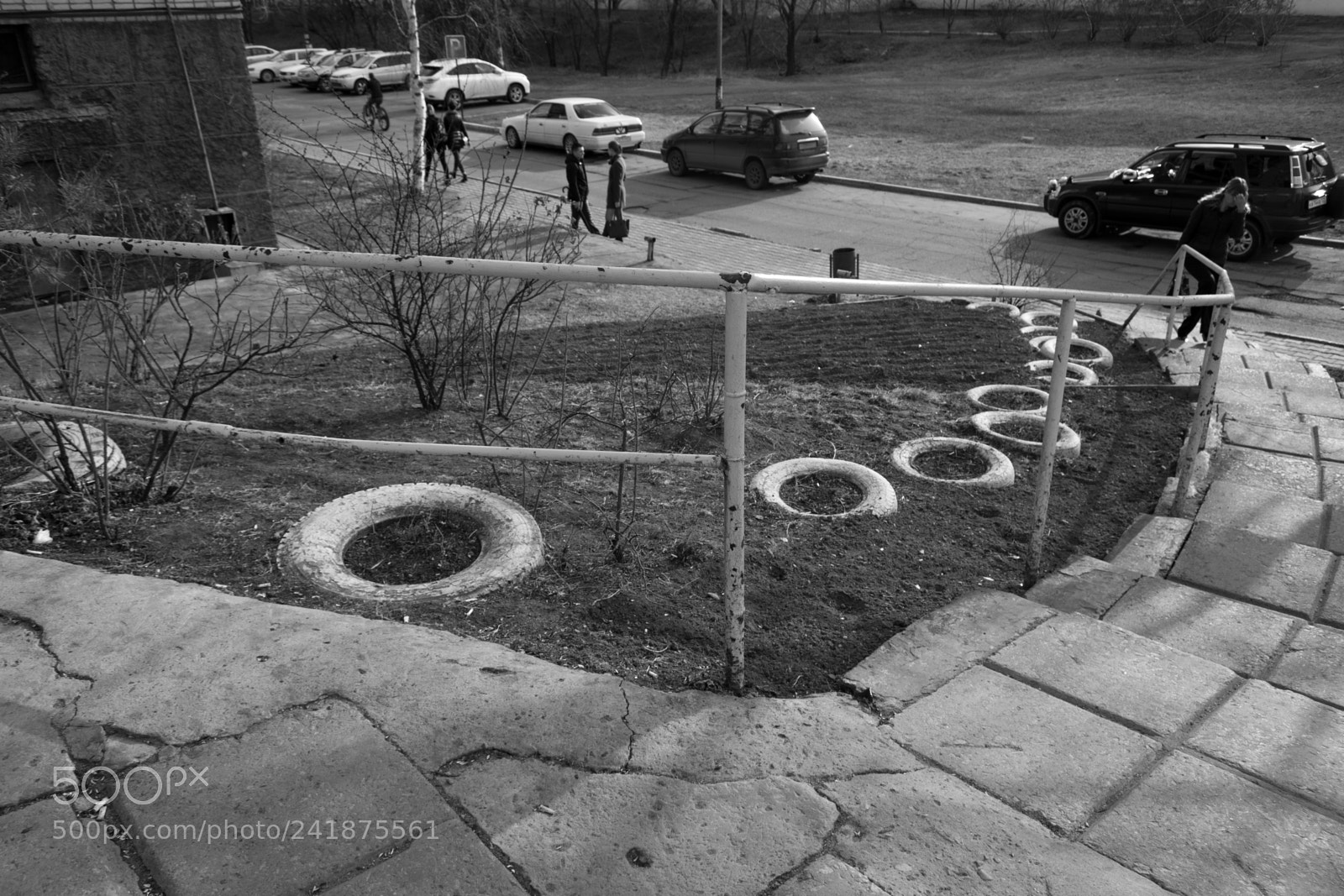 Nikon D3100 sample photo. Khabarovsk photography
