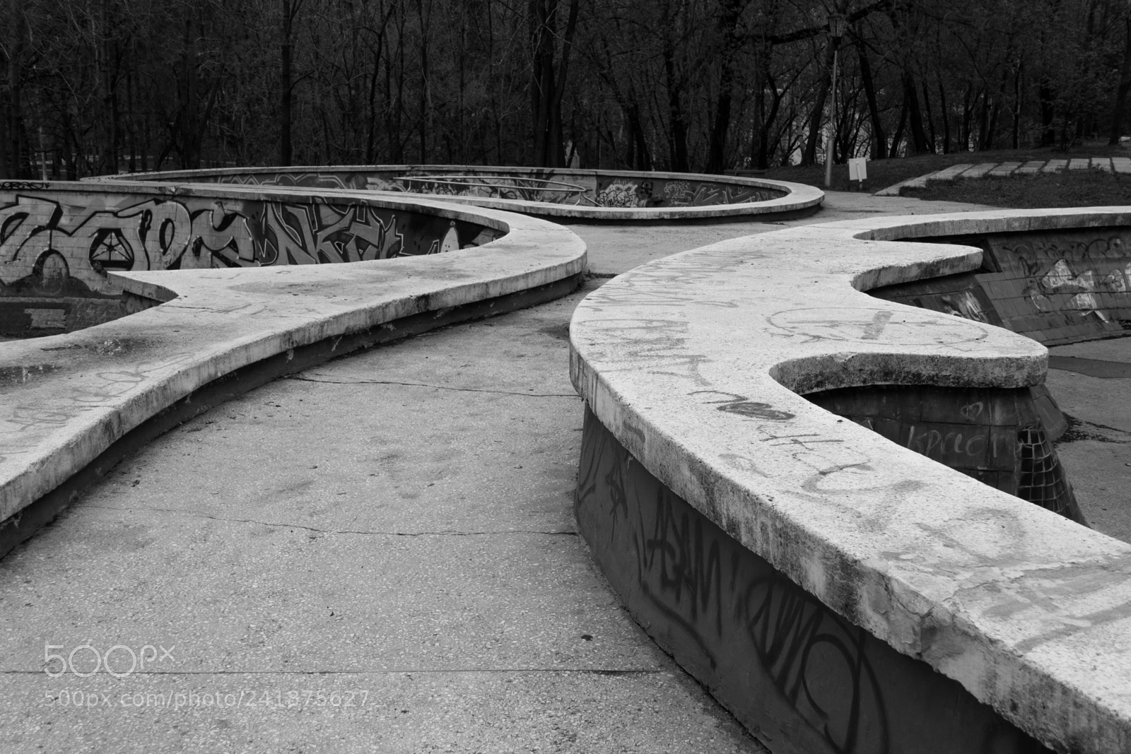 Nikon D3100 sample photo. Khabarovsk photography