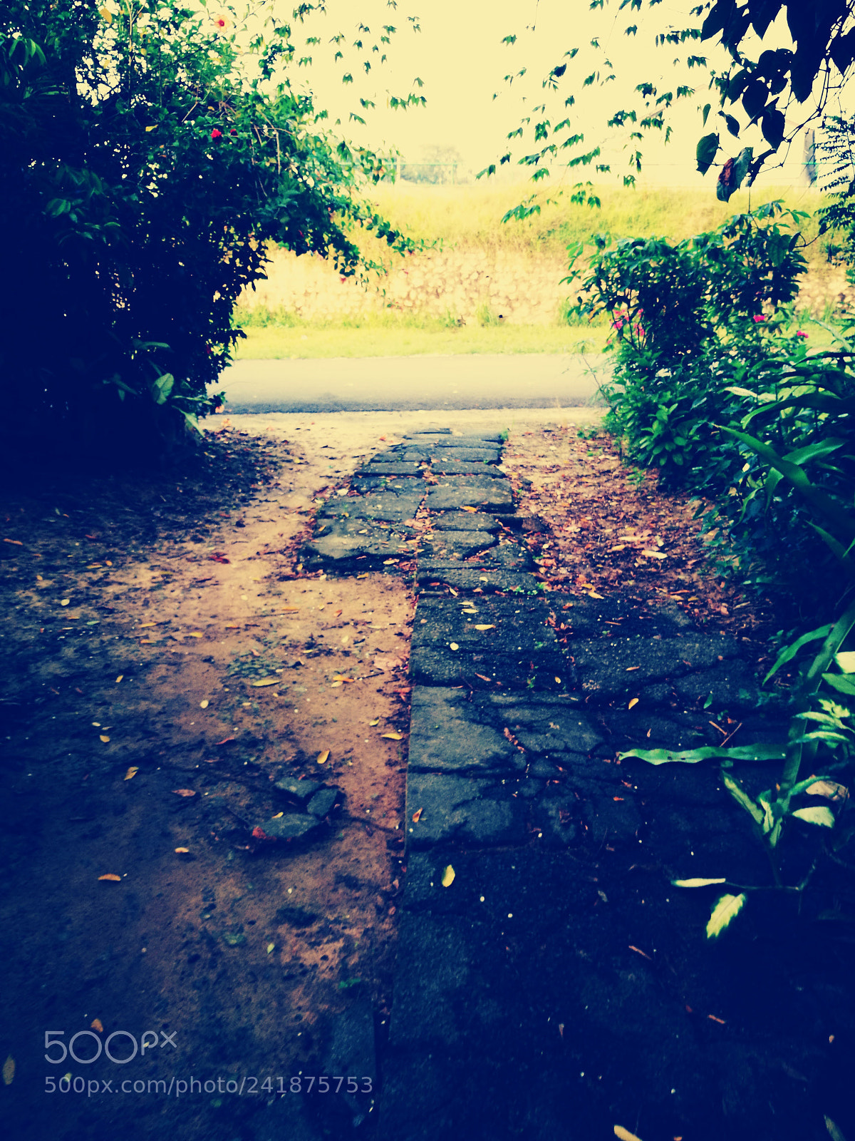 HUAWEI P9 sample photo. Walking to destiny photography