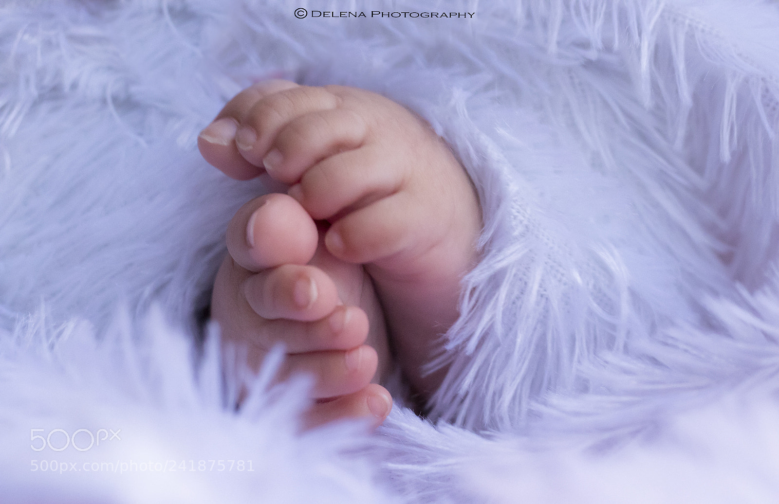 Canon EOS 1300D (EOS Rebel T6 / EOS Kiss X80) sample photo. The feet!! photography