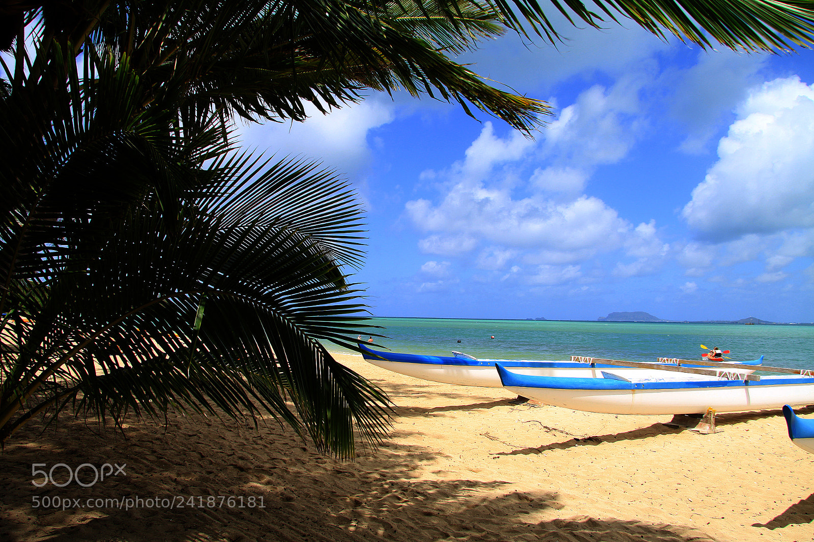 Canon EOS 50D sample photo. Paradise photography