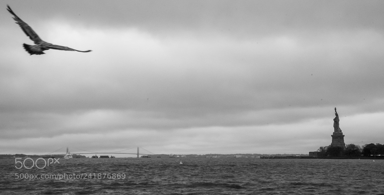 Nikon D500 sample photo. Espoir photography