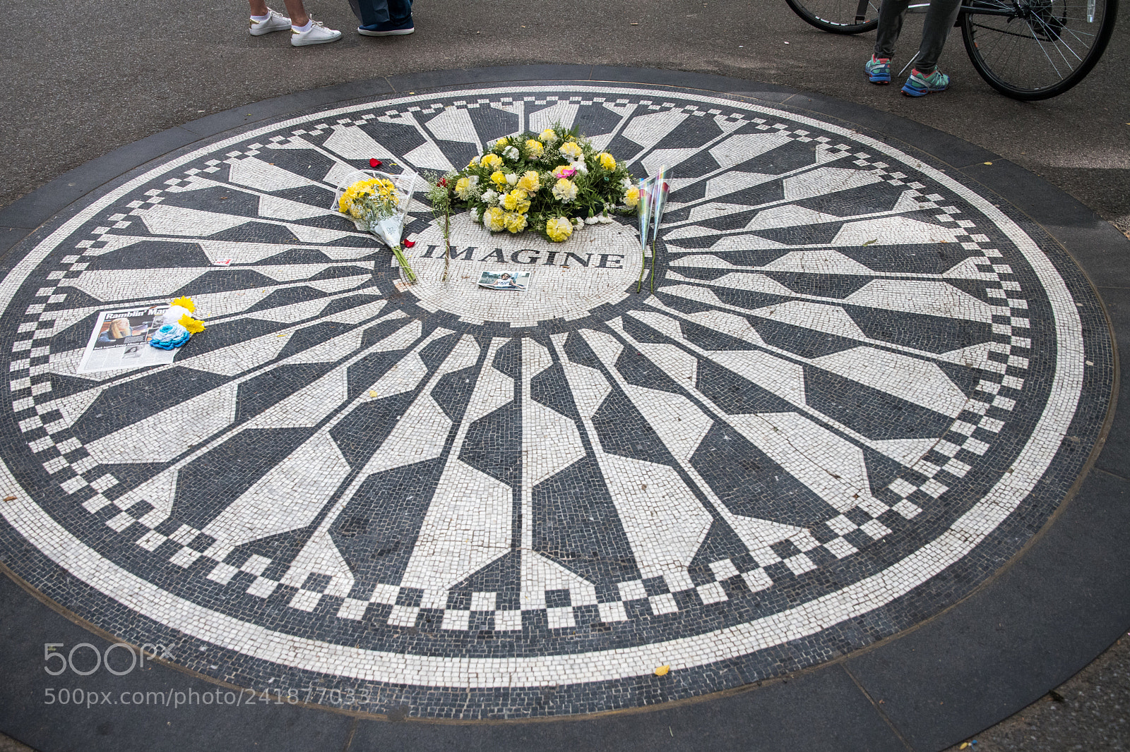 Nikon D500 sample photo. John le non memorial photography