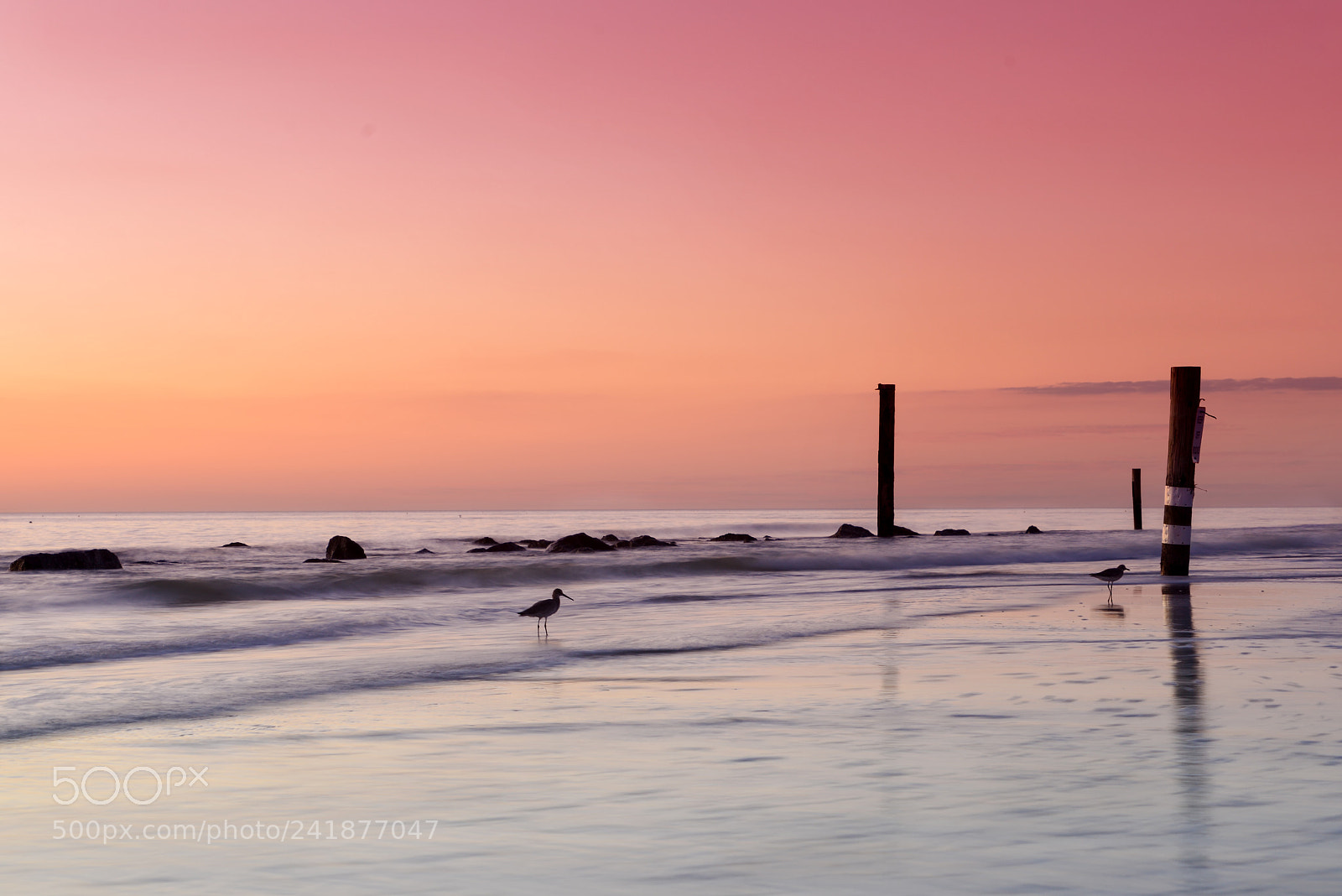 Nikon D800 sample photo. Sunset at the redington photography