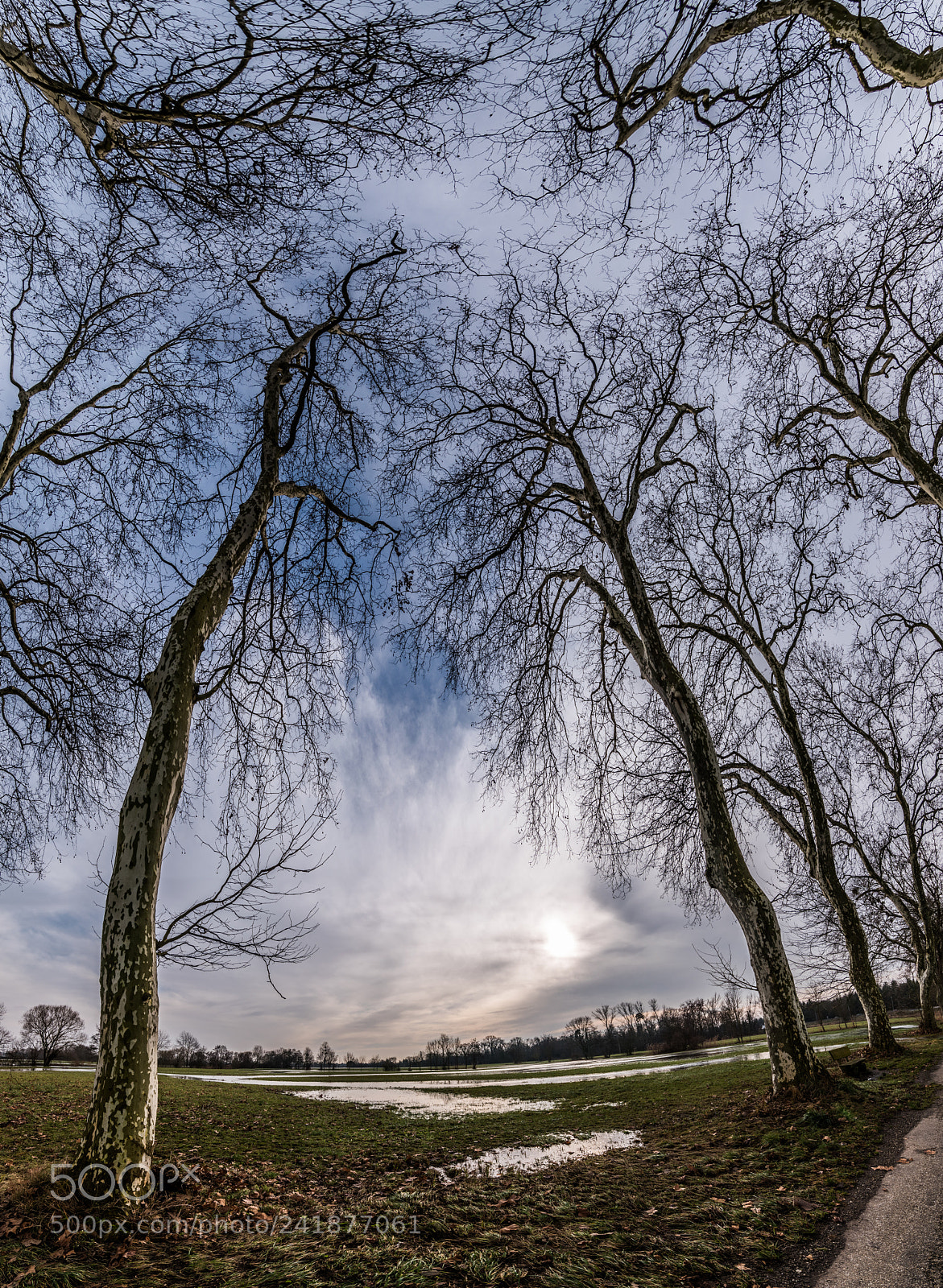Nikon D5500 sample photo. Another view photography