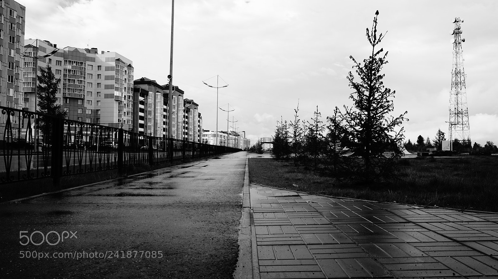 Sony Alpha a5000 (ILCE 5000) sample photo. Far away... | b&w photography