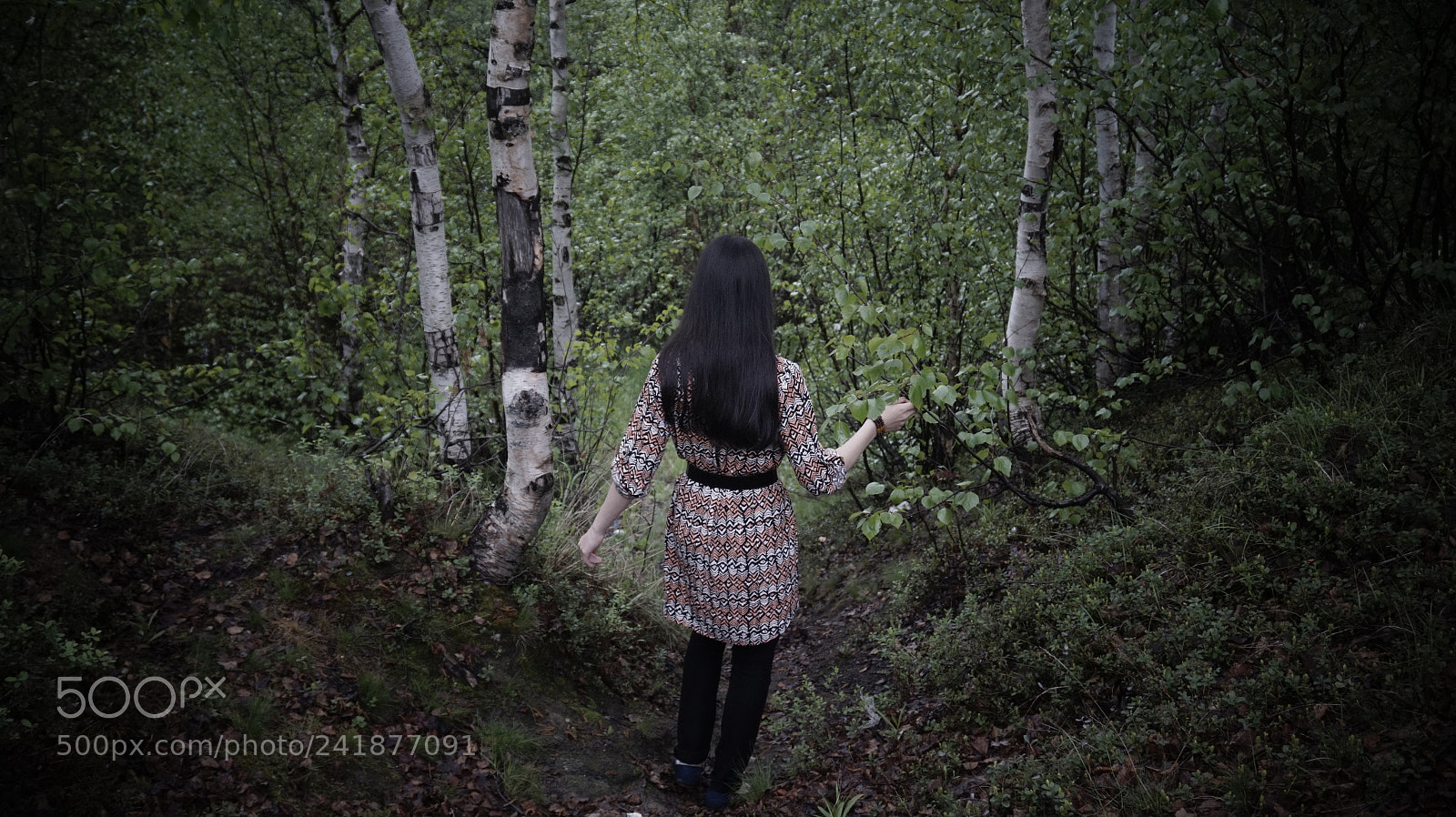 Sony Alpha a5000 (ILCE 5000) sample photo. Deeper into the forest photography