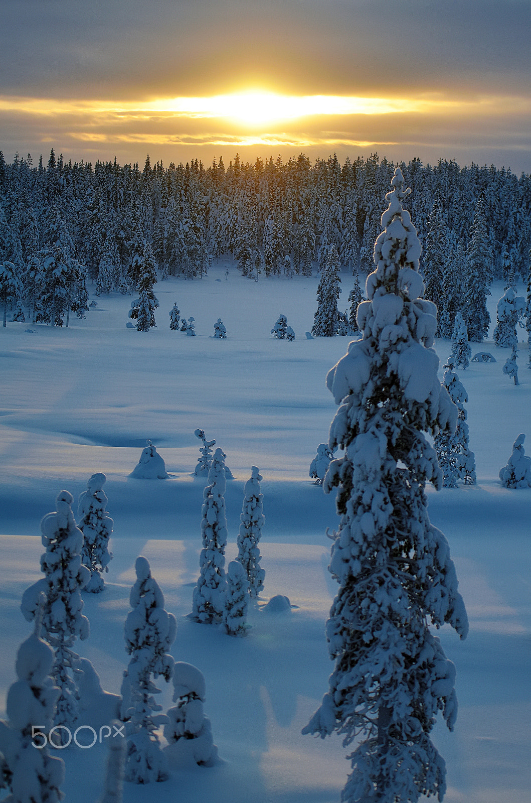 Tamron SP AF 70-200mm F2.8 Di LD (IF) MACRO sample photo. Winter in lapland photography