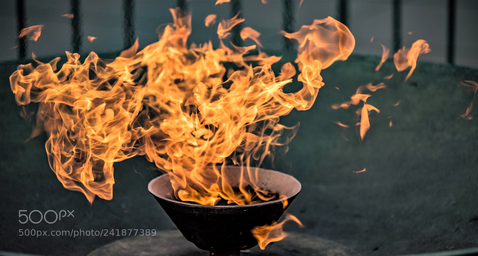 Nikon D810 sample photo. Flames at the shrine photography