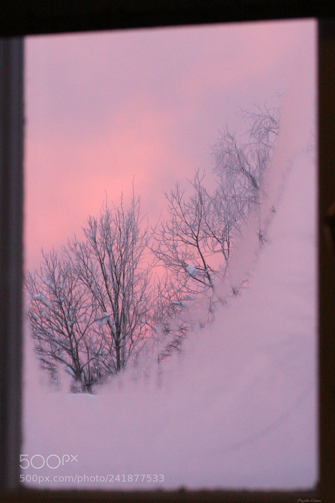 Canon EOS 400D (EOS Digital Rebel XTi / EOS Kiss Digital X) sample photo. Winter morning photography