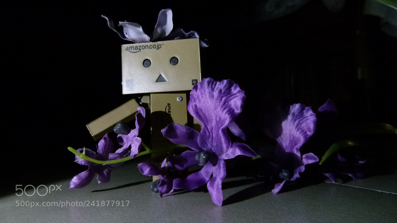 Leica V-Lux 2 sample photo. Untitled photography